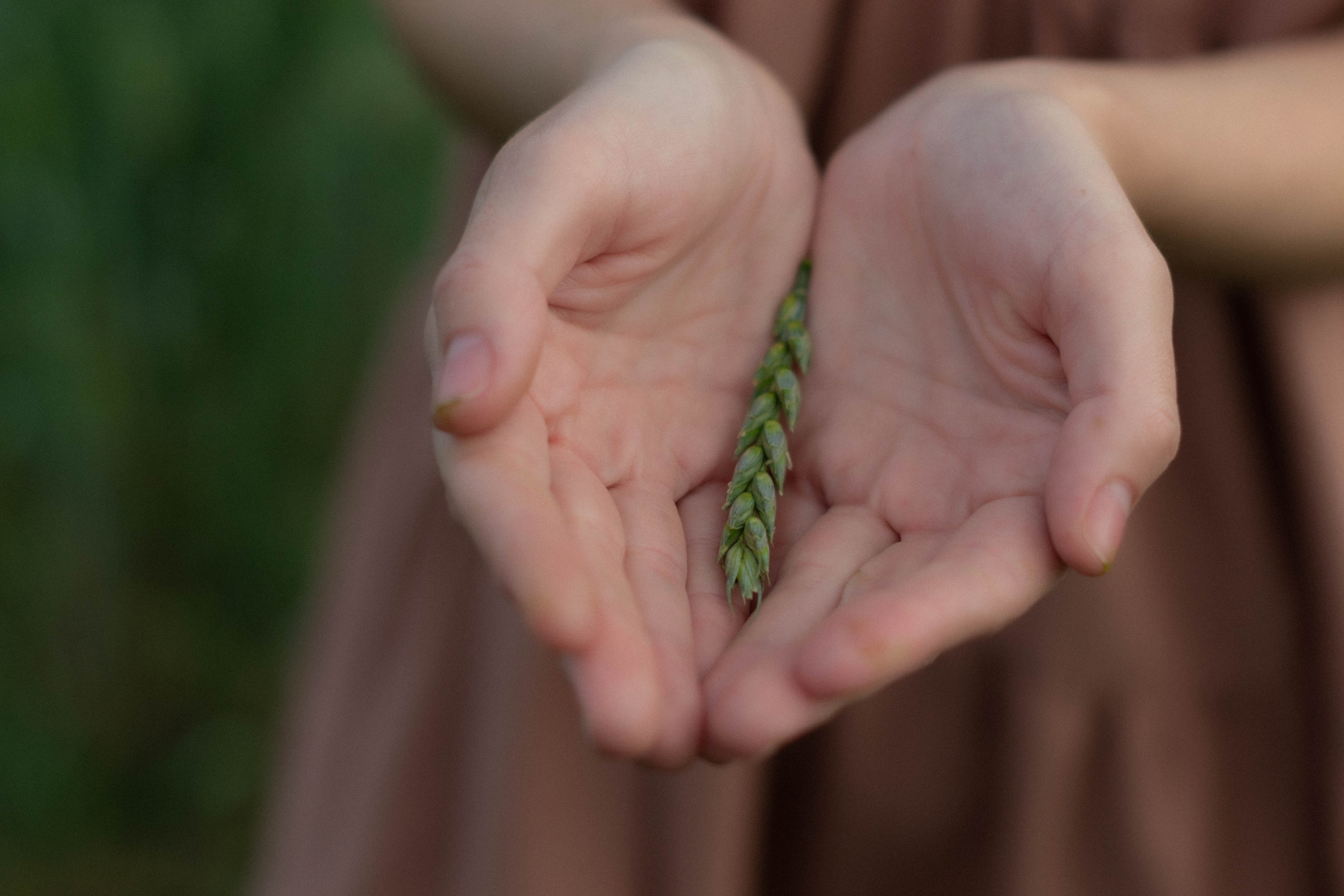 Maria Sineva, photographer