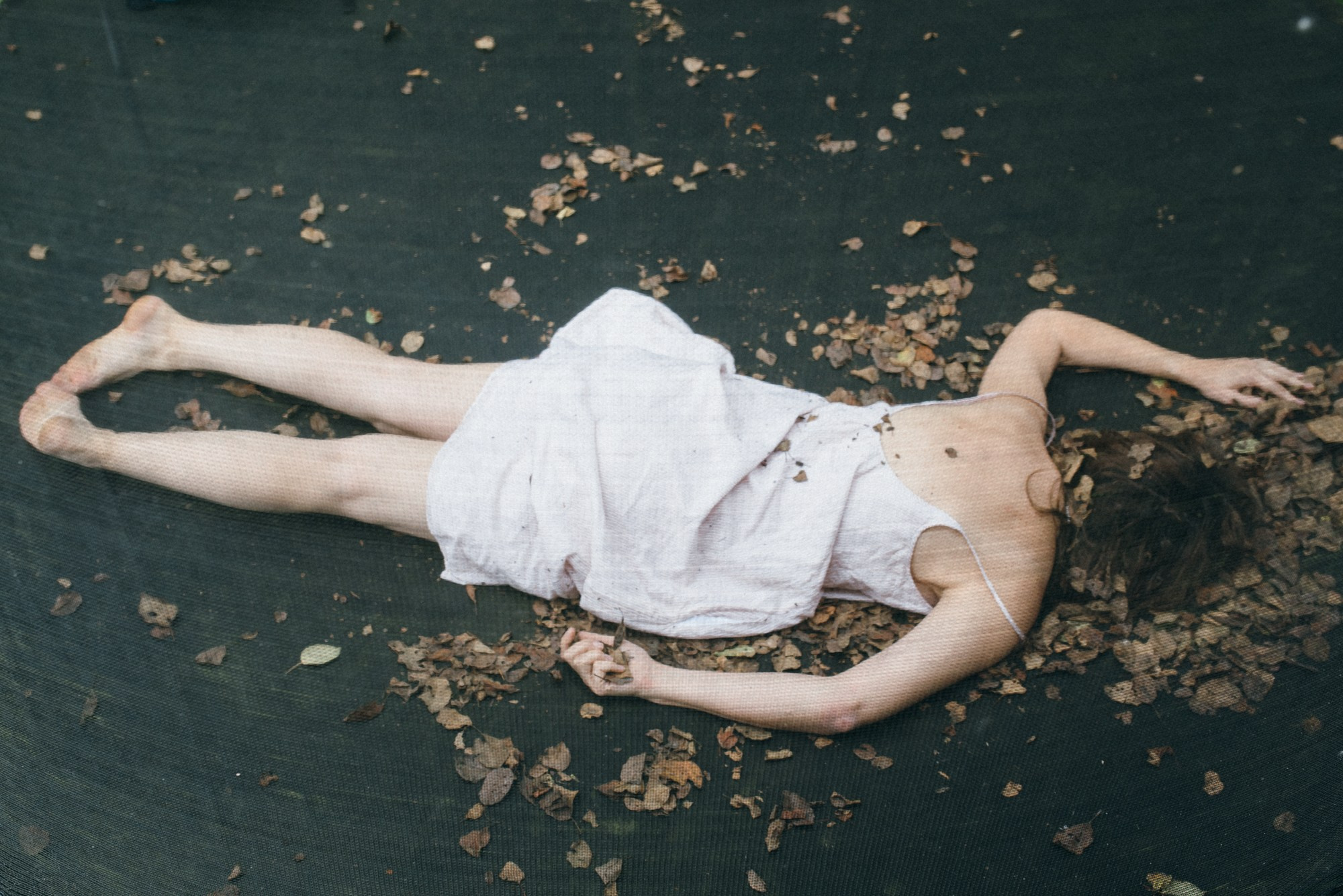 Understory. Tatiana Sikorskaya