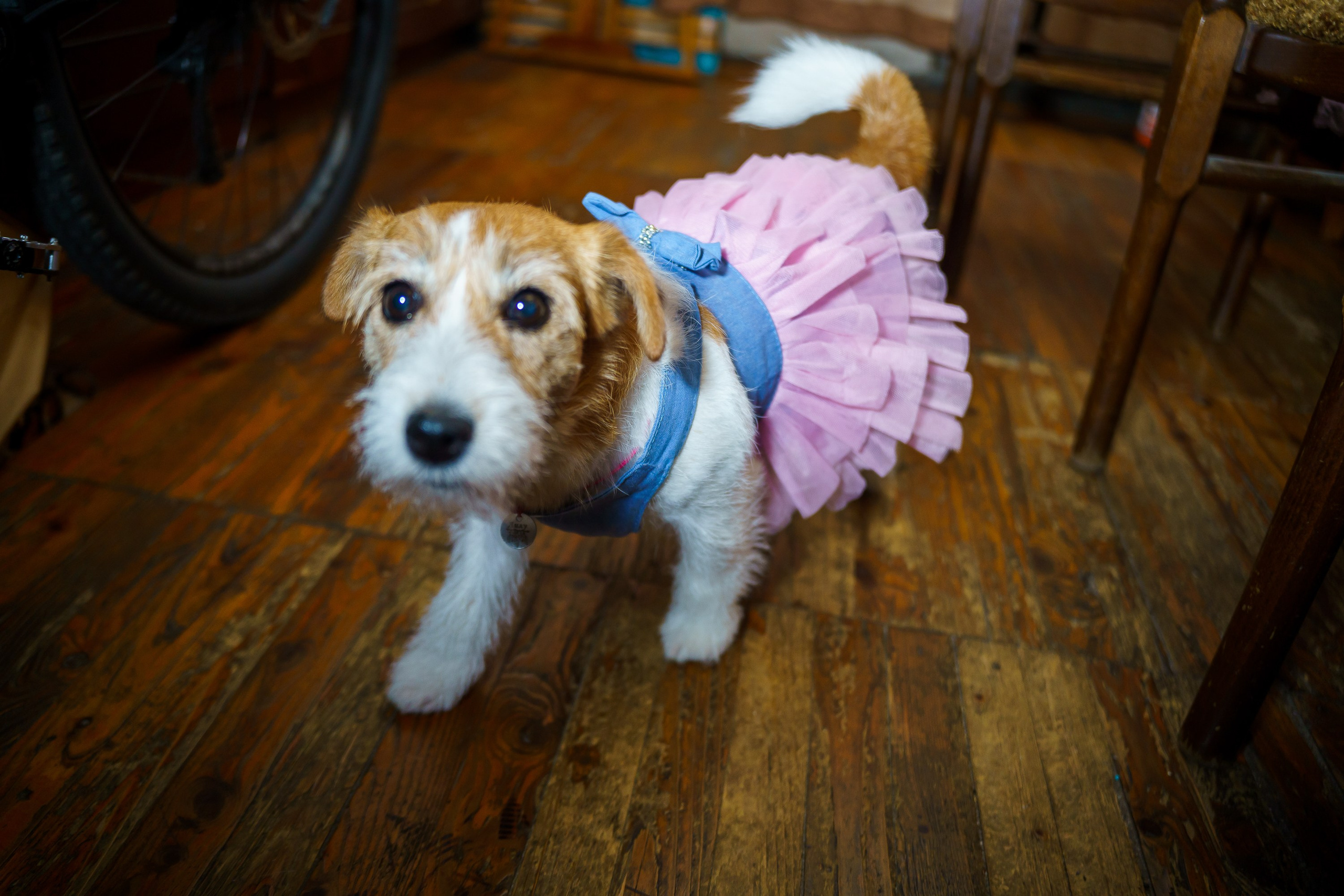 ДР многообожаемого А.В.!. Фотограф Челябинск · Ольга Серебрякова