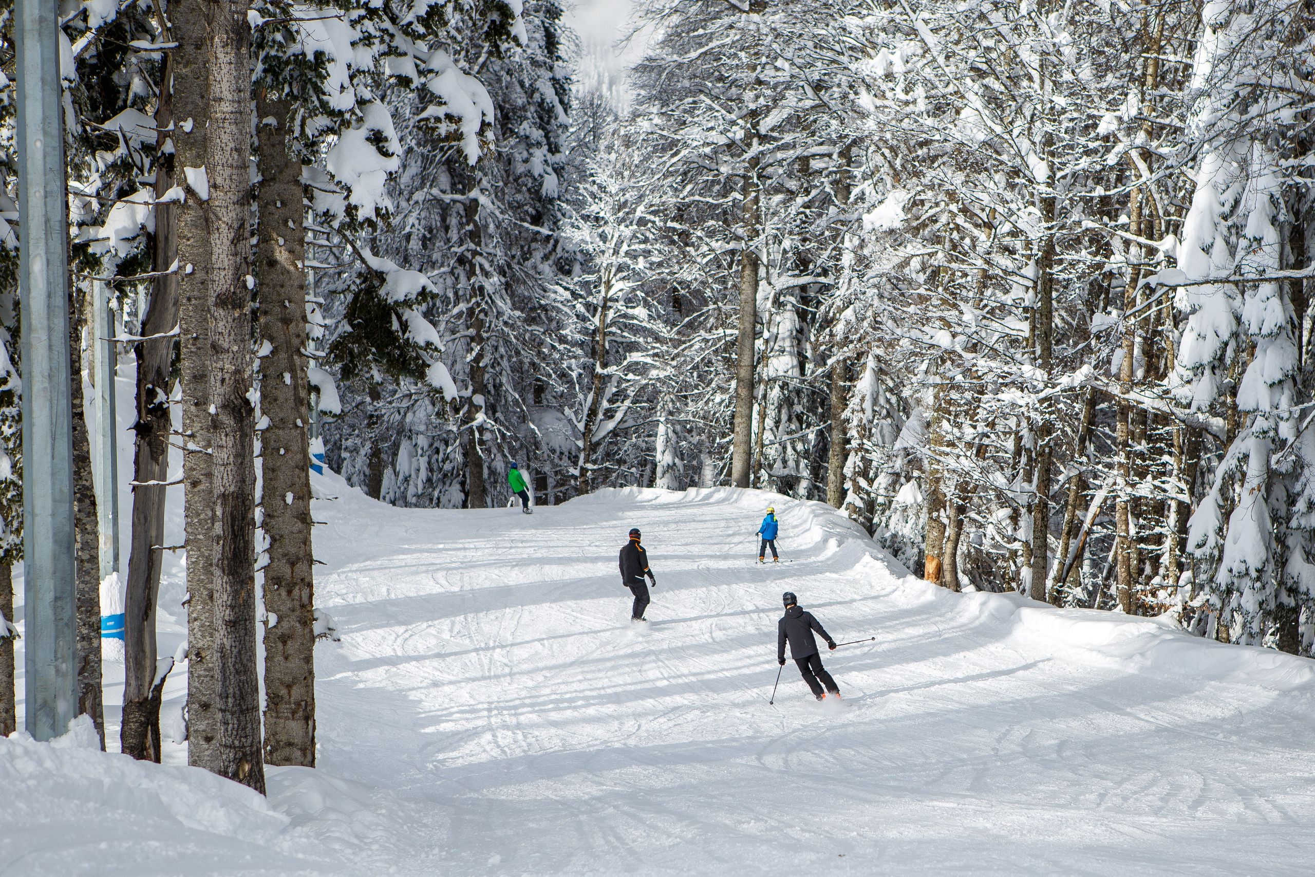 Горные лыжи. Семейный фотограф в Краснодаре