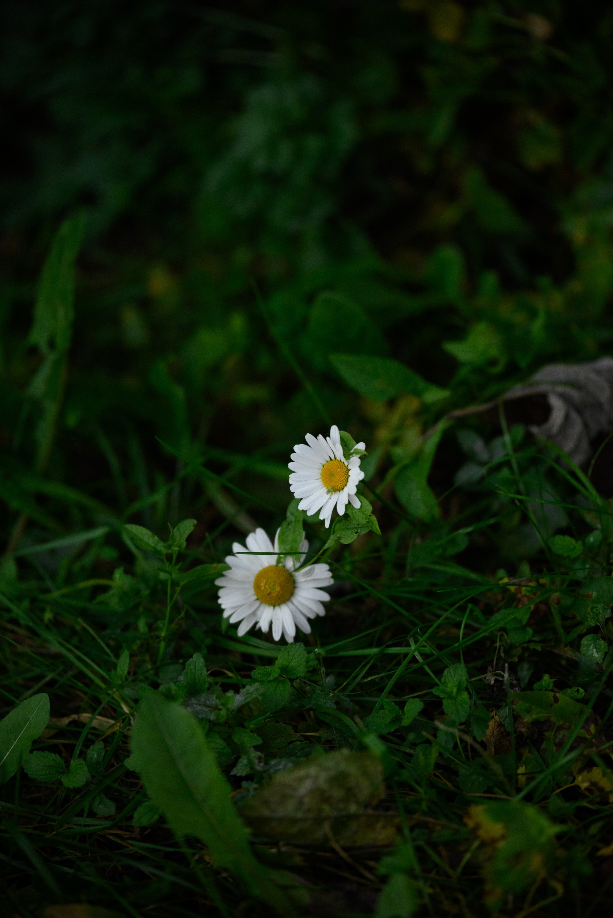 Это любовь. Свадебный фотограф Ижевск Петр Шишков