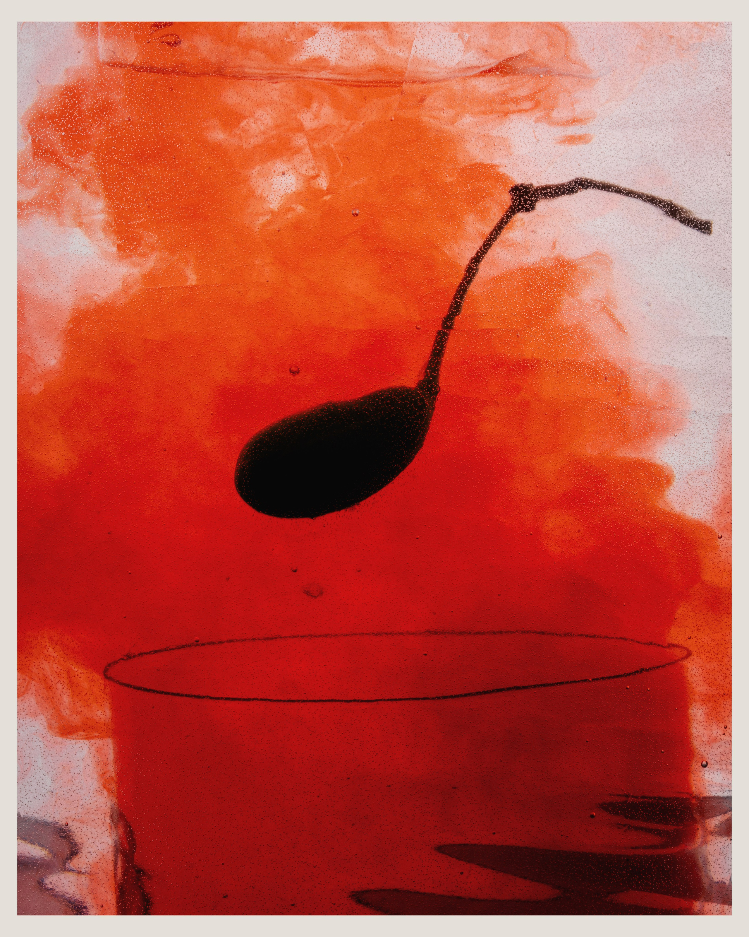 BRODO x VANO. Ivan Petrov photographer