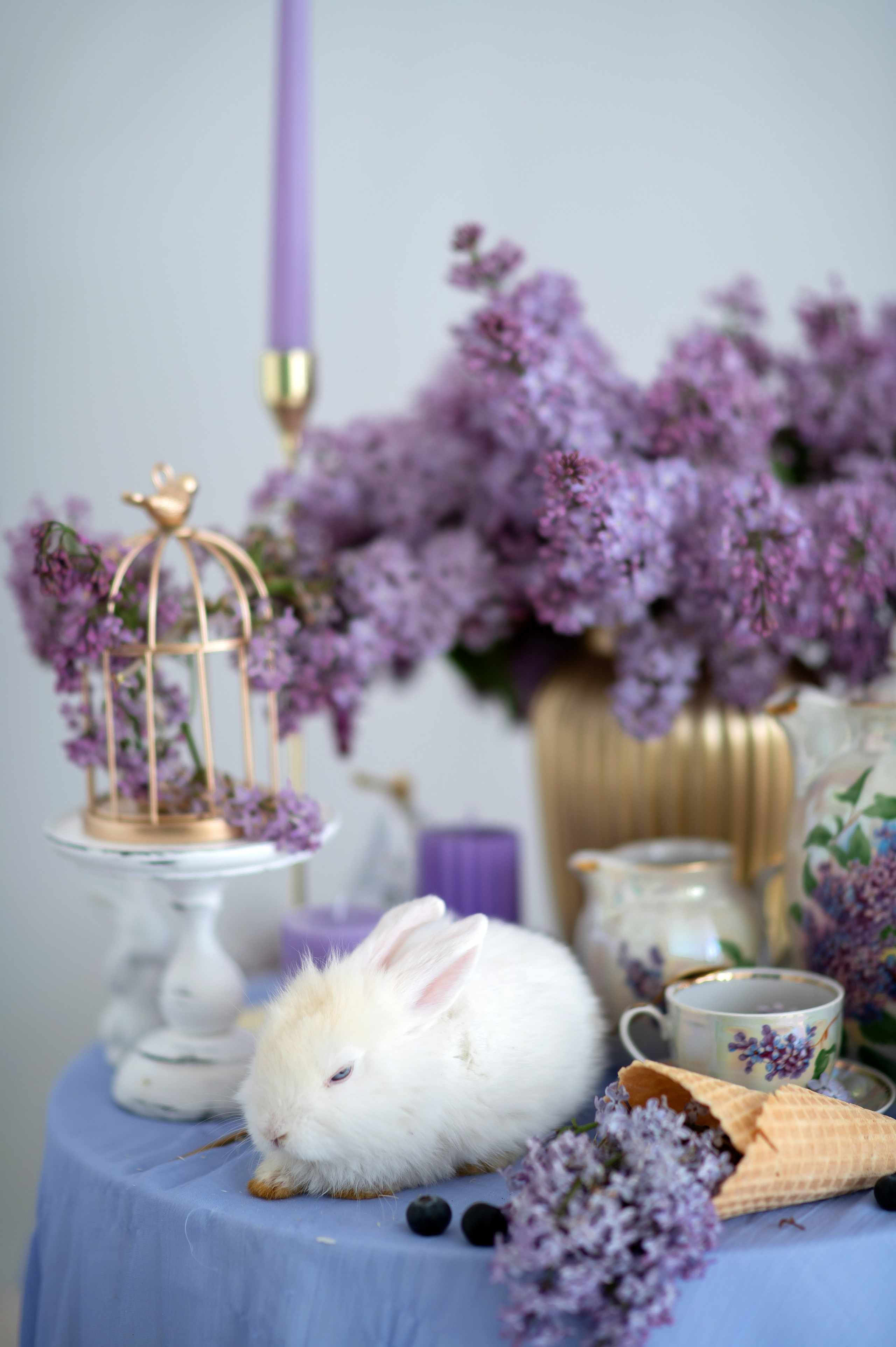 «Сирень». Детский и семейный фотограф Москва Рязань