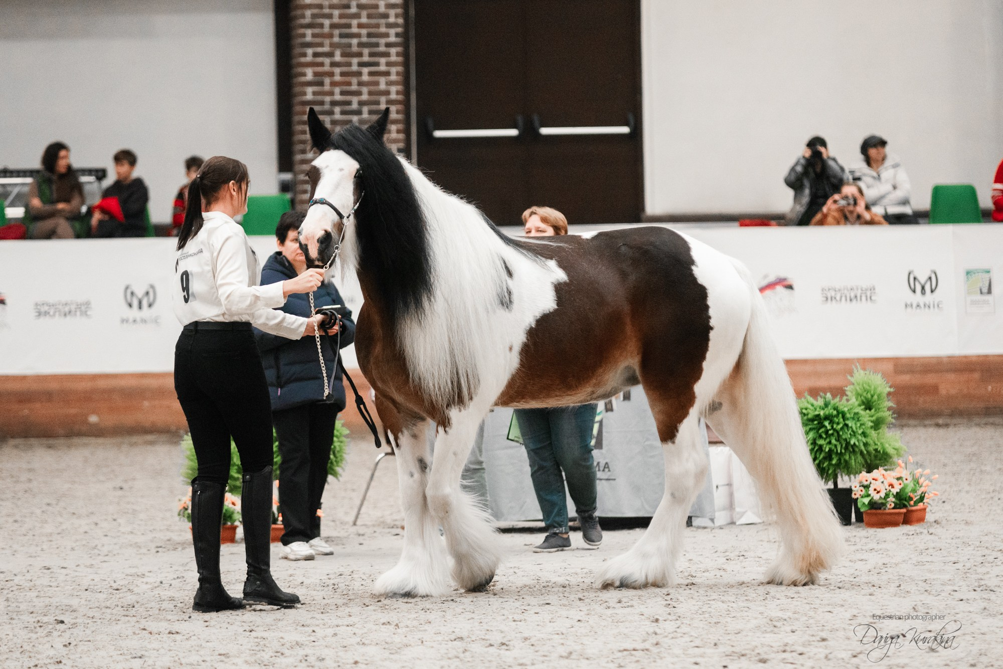 8-я международная выставка Конная Россия. Конный фотограф Куракина Дарья • Фотосессии с лошадьми