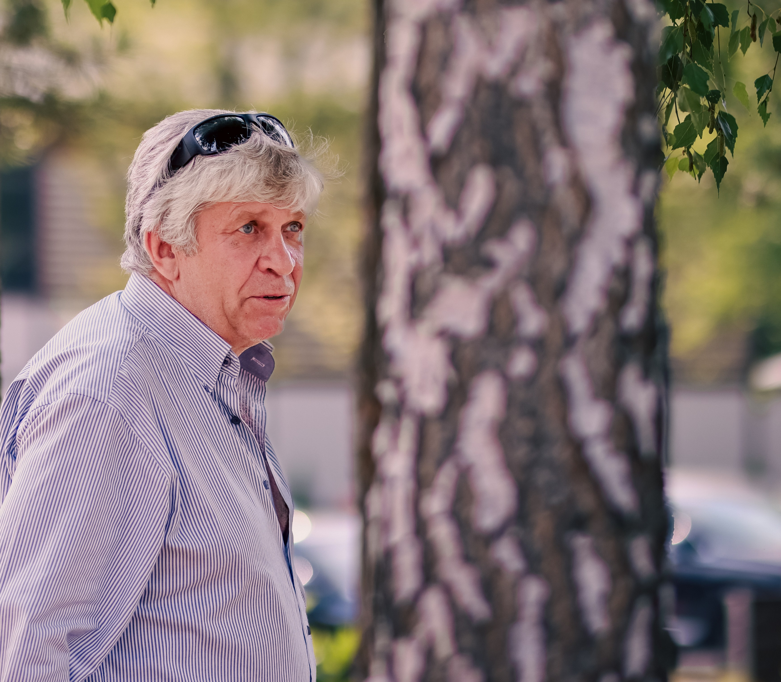 Соревнования по конному спорту. Фотограф репортажей и стритфотосессий в Москве Людмила Смирнова