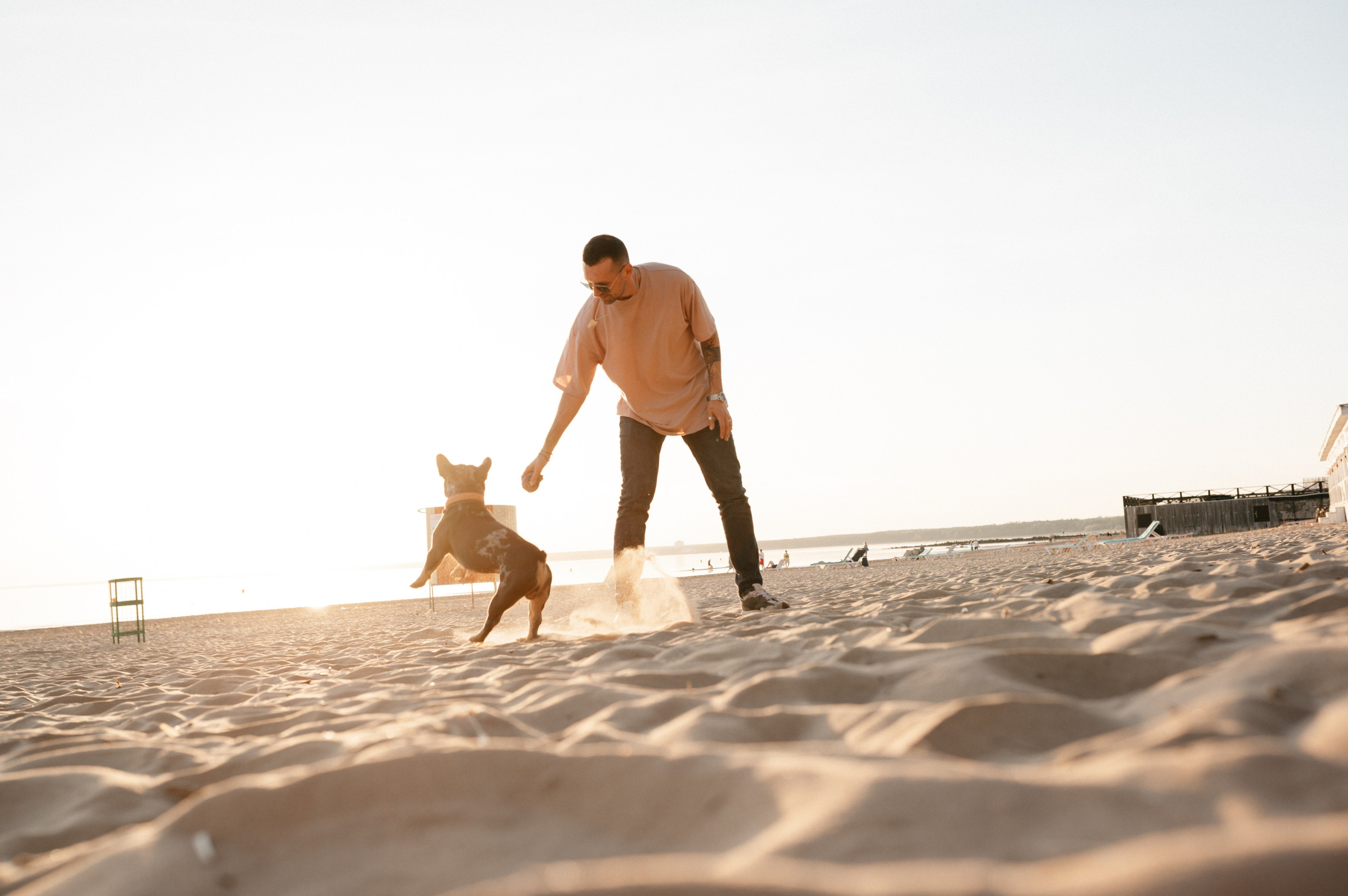 Коля и Бакс. Фотограф анималист в Москве Ольга Агушева
