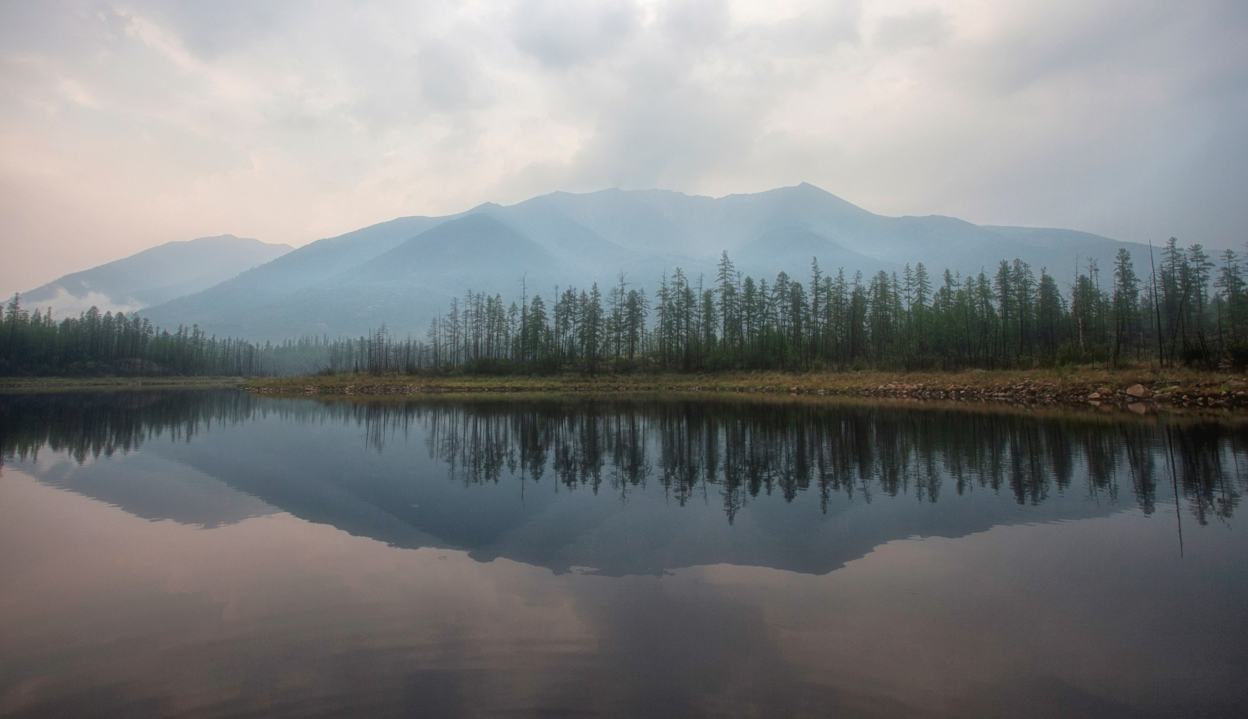 Природа и пейзажи / Nature and landscapes. Visual artist Olga Burmistrova