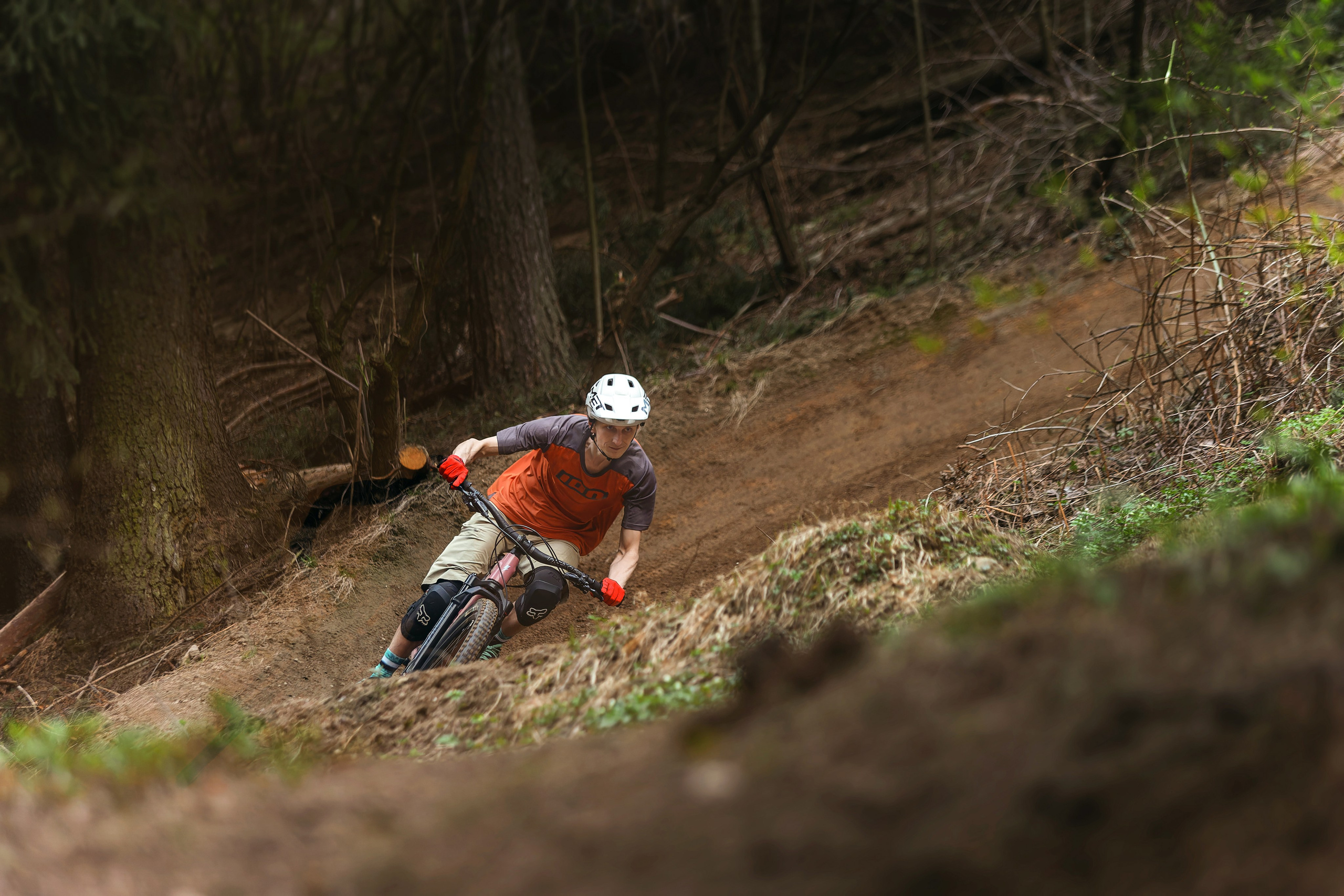 Олег и Алексей. Фотограф анималист Никита Натальный