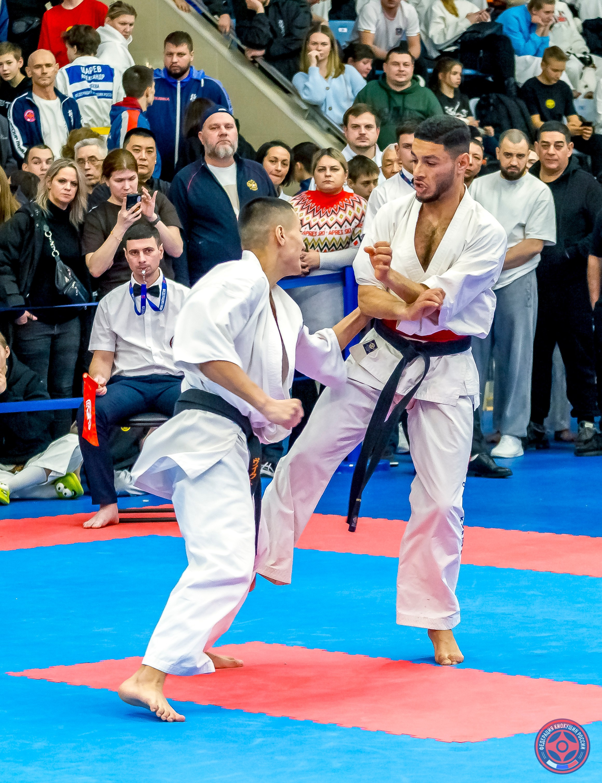 Международный турнир по киокушин «Открытый кубок Seiken». Репортажная съемка в Москве и области. Анималистика