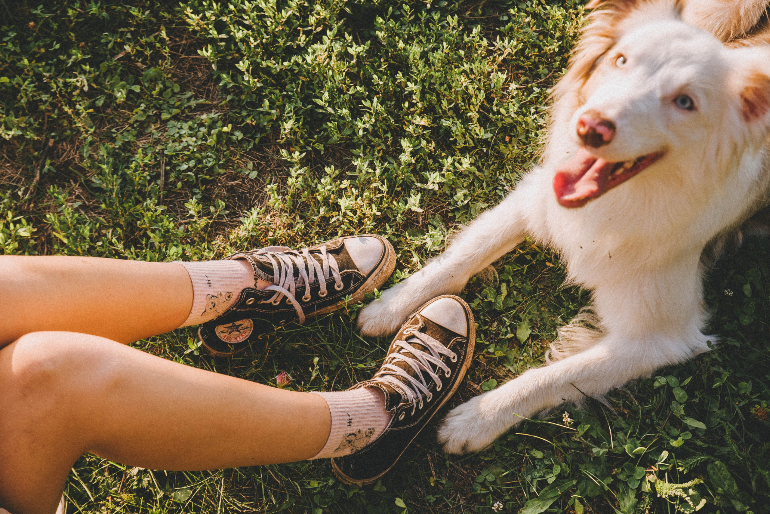Лиза и Айви. Главная