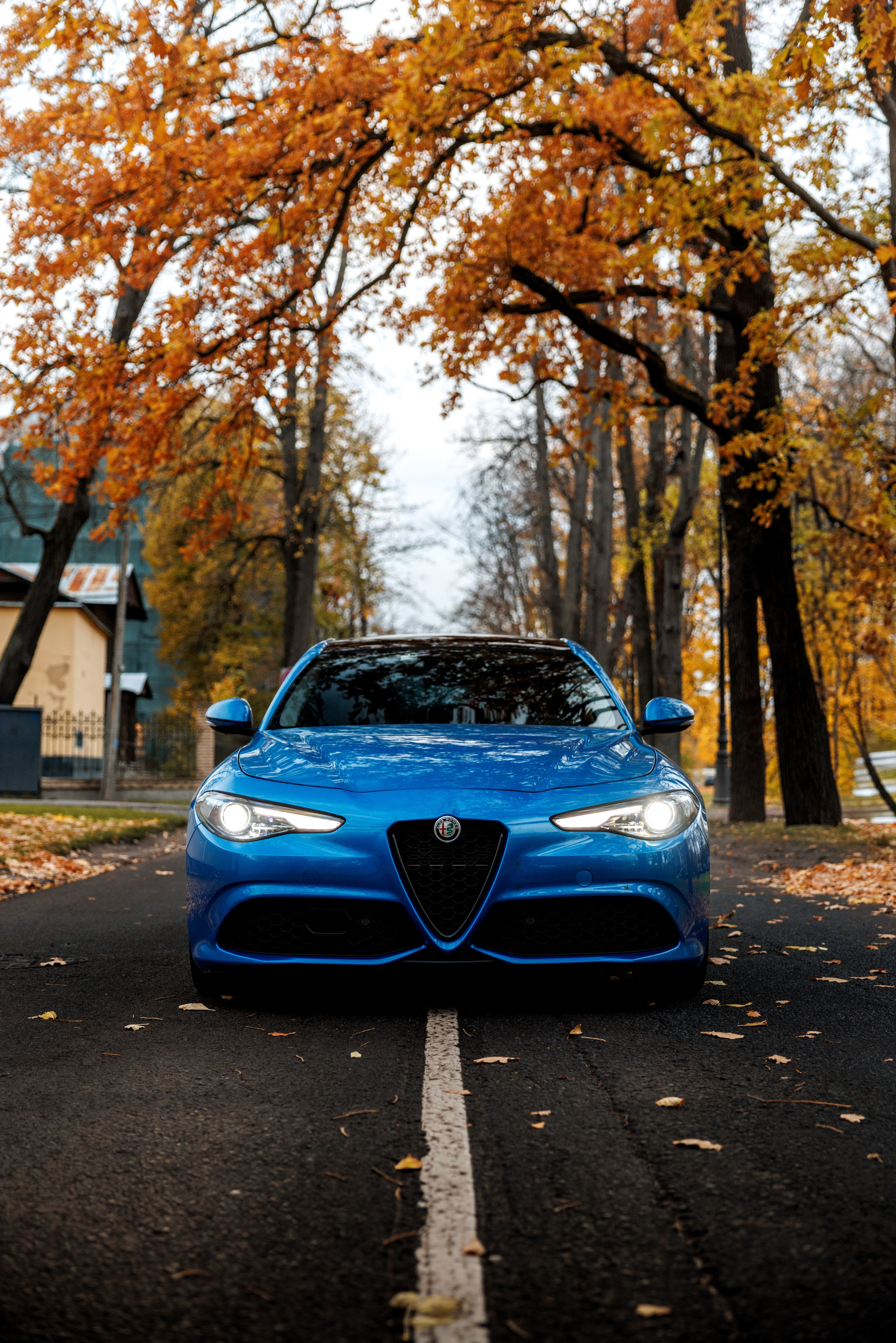 Авто. Фотограф Иван Петров