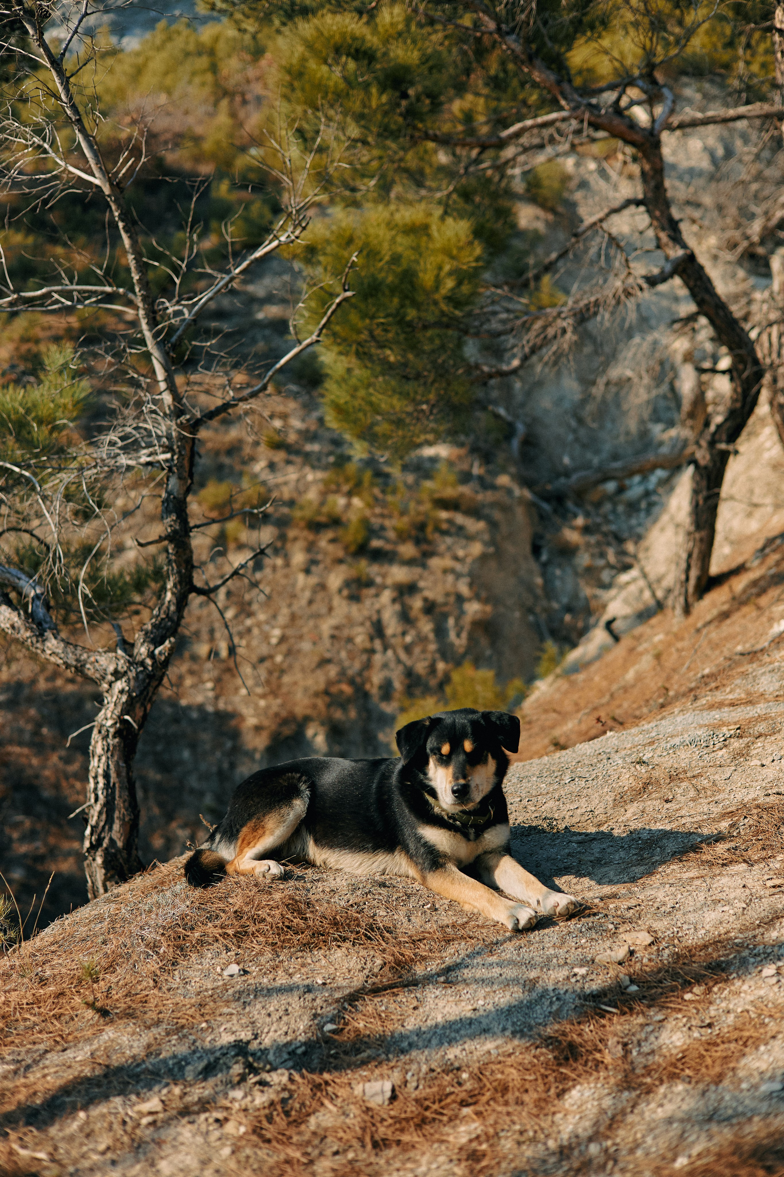 Юг России. Профессиональный Фотограф во Владимире, в Москве и в Суздале — Полина Романычева