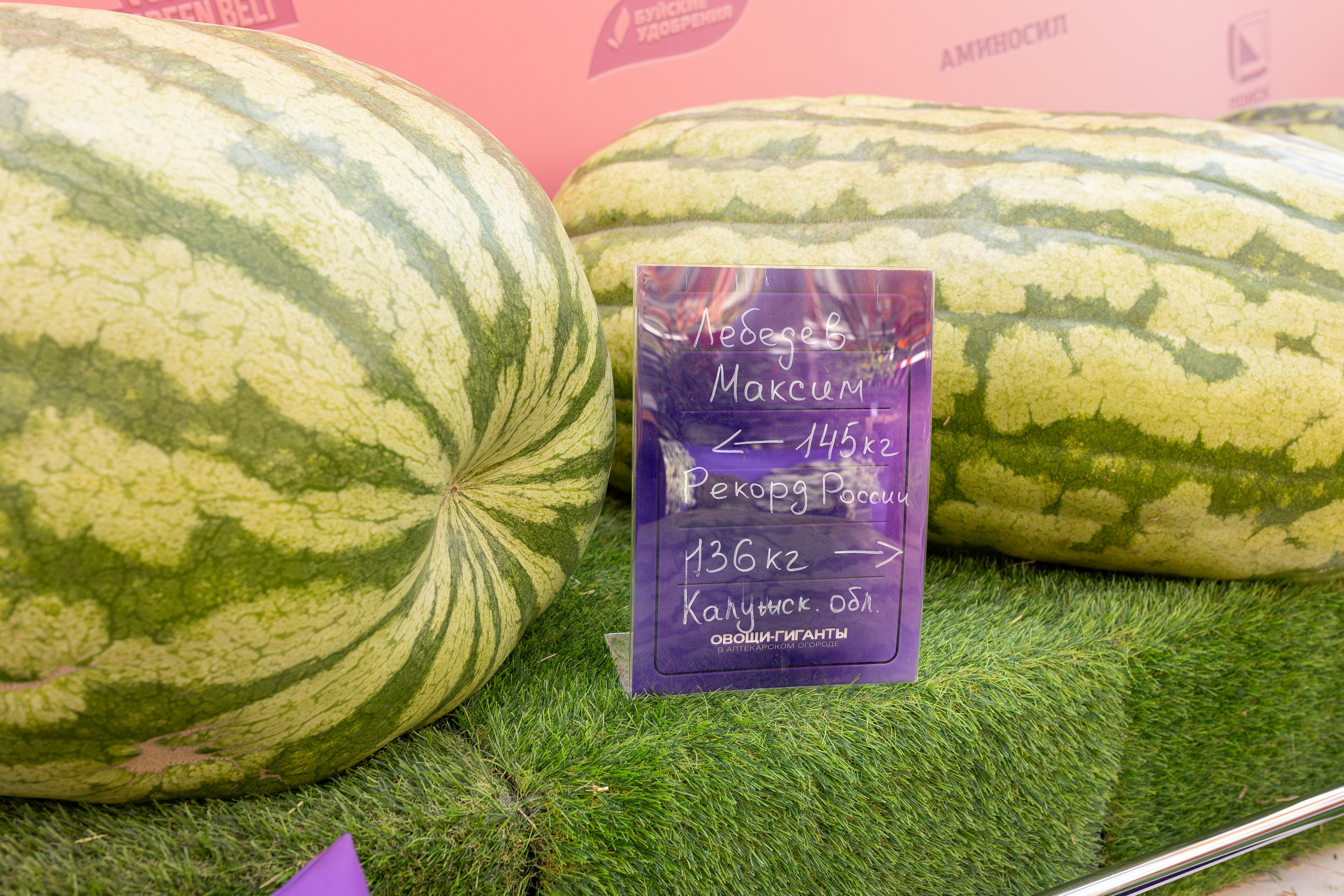 Овощи-гиганты. Александра Куликова фотограф, Москва