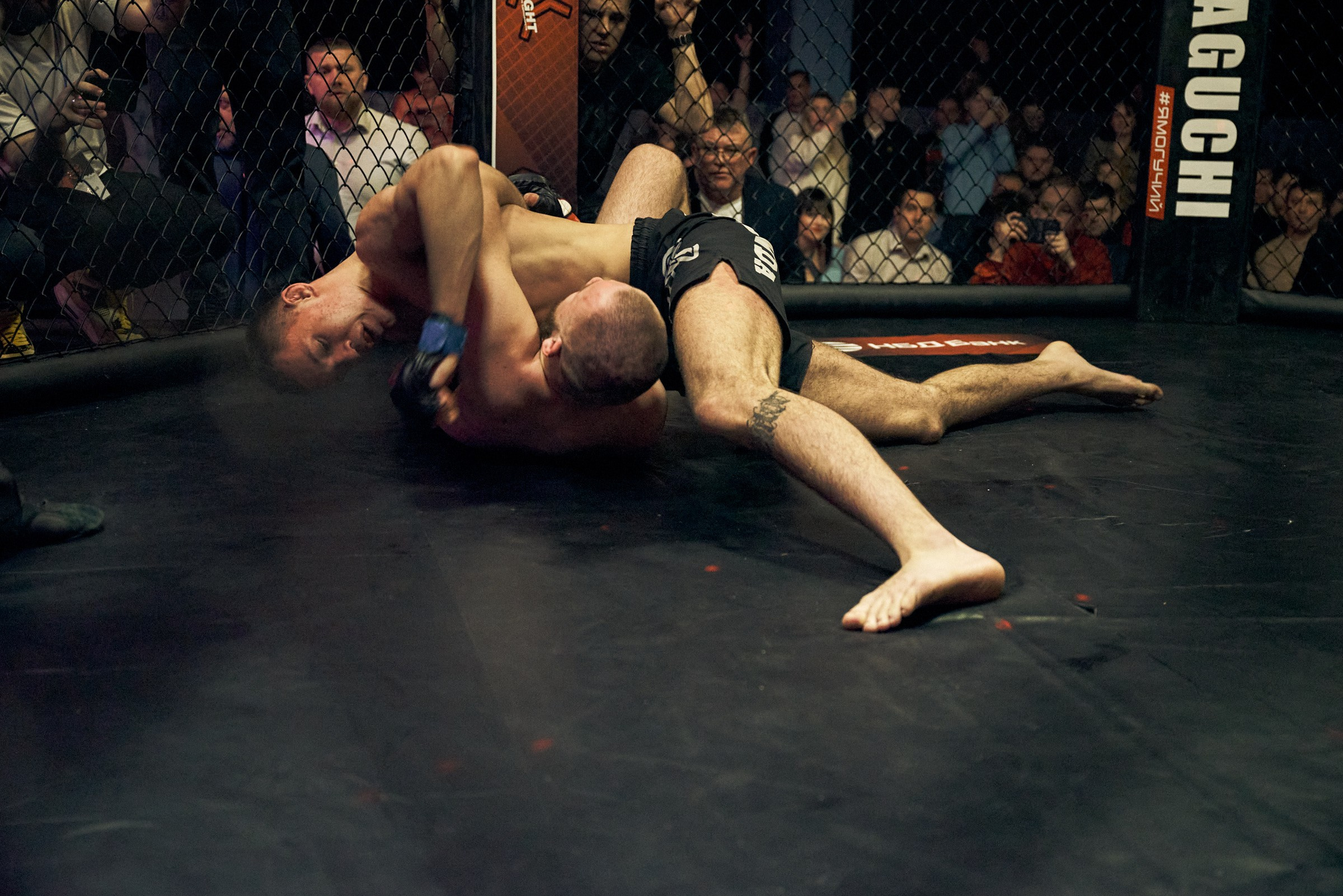 Бои. Маляревич Дмитрий свадебный фотограф