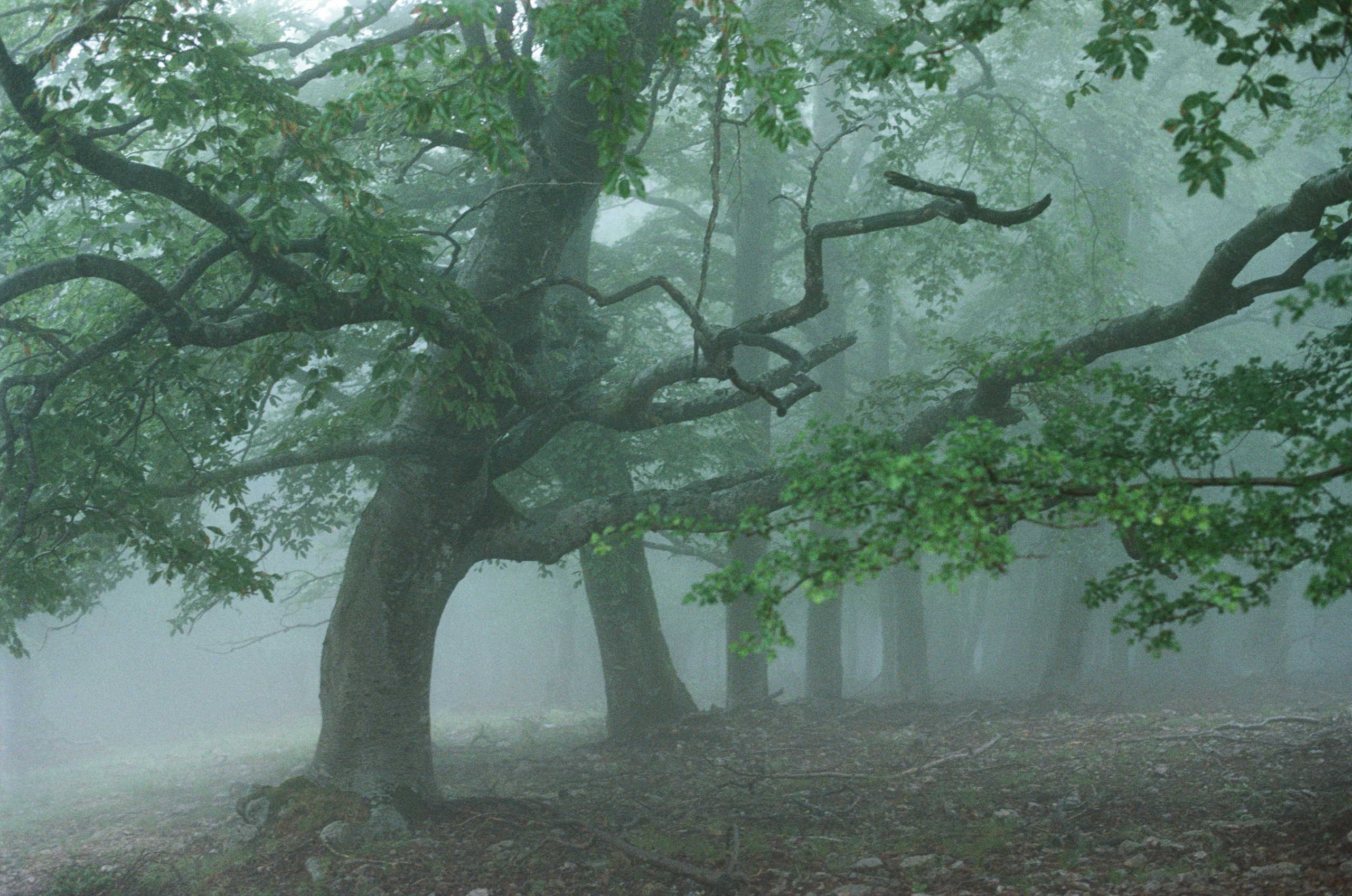 Dig it // ukraine, crimea. EVER EXPOSED