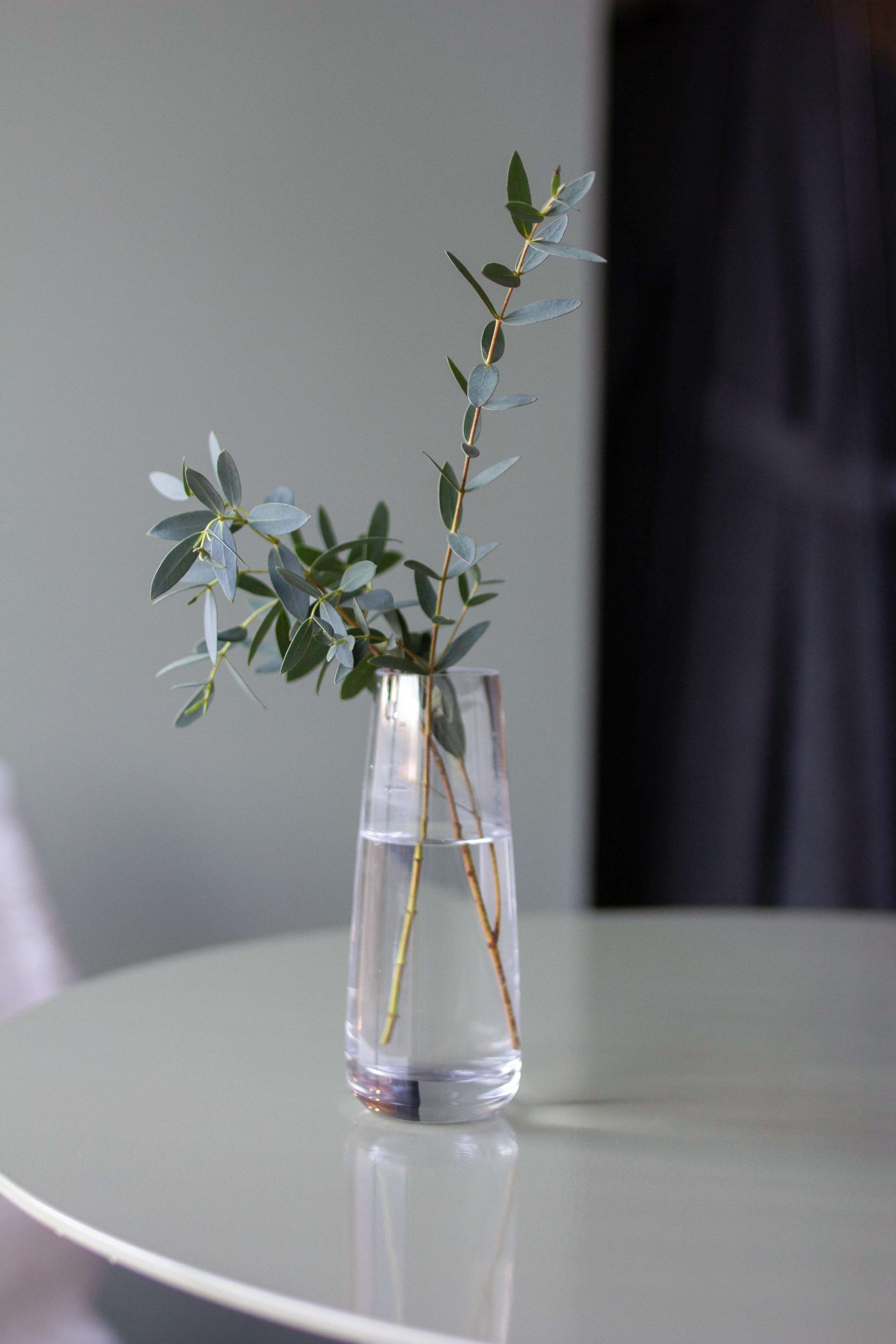 Pronto Bistro. Фотограф в Санкт-Петербурге Ангелина Вражевская