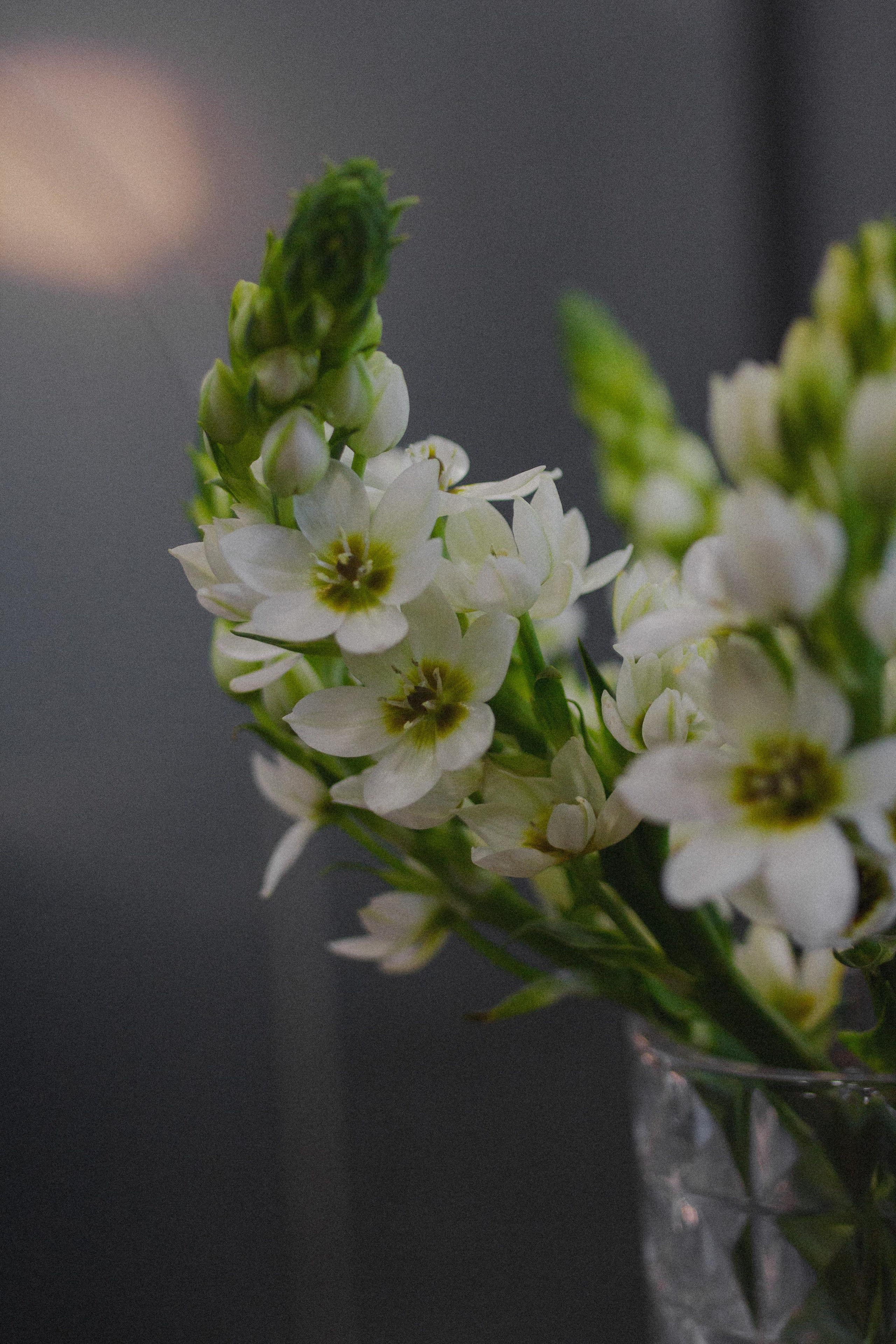 Nataliya Shpakova | Контент-съемка. Фотограф в Санкт-Петербурге Ангелина Вражевская