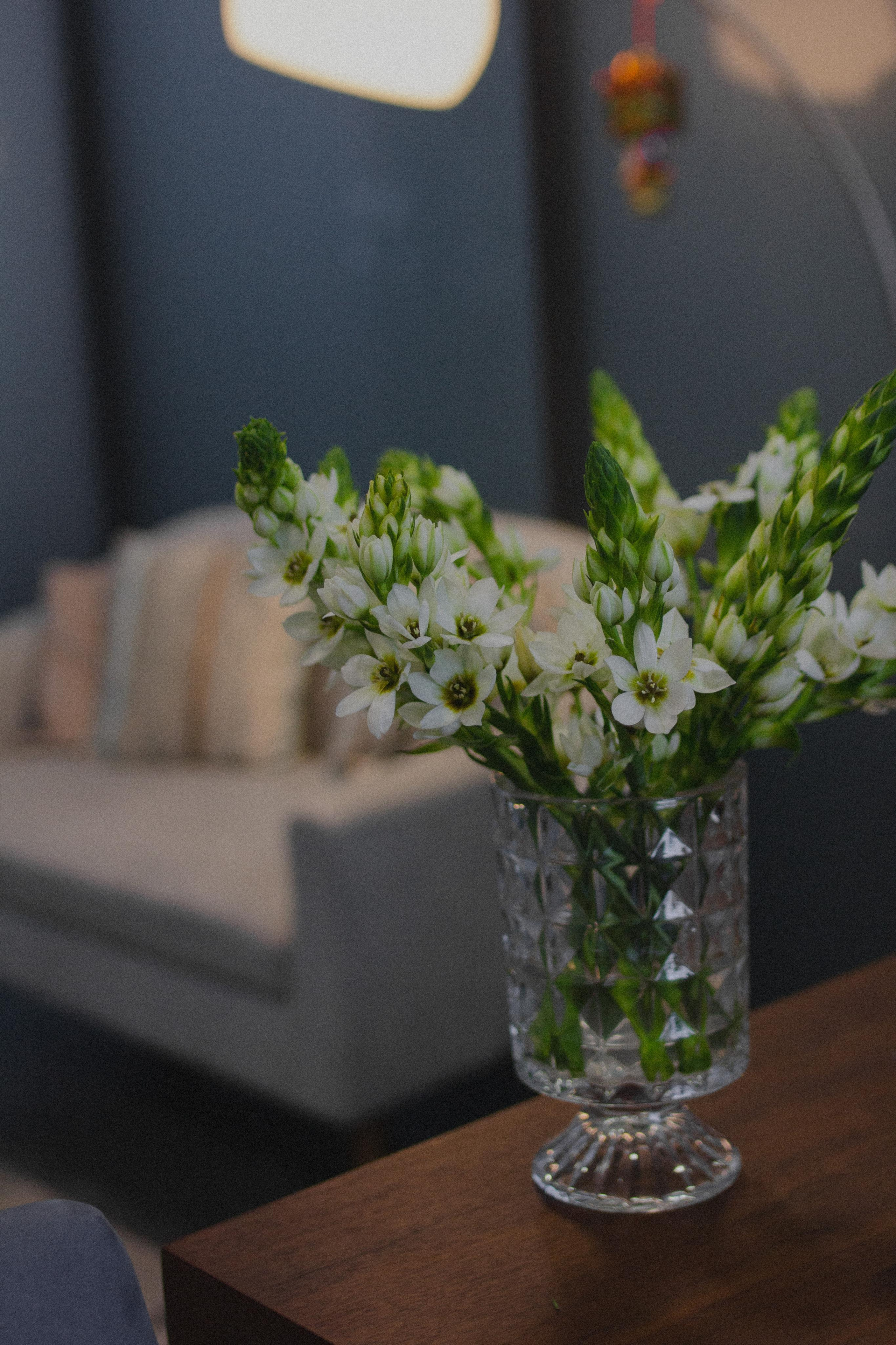 Nataliya Shpakova | Контент-съемка. Фотограф в Санкт-Петербурге Ангелина Вражевская