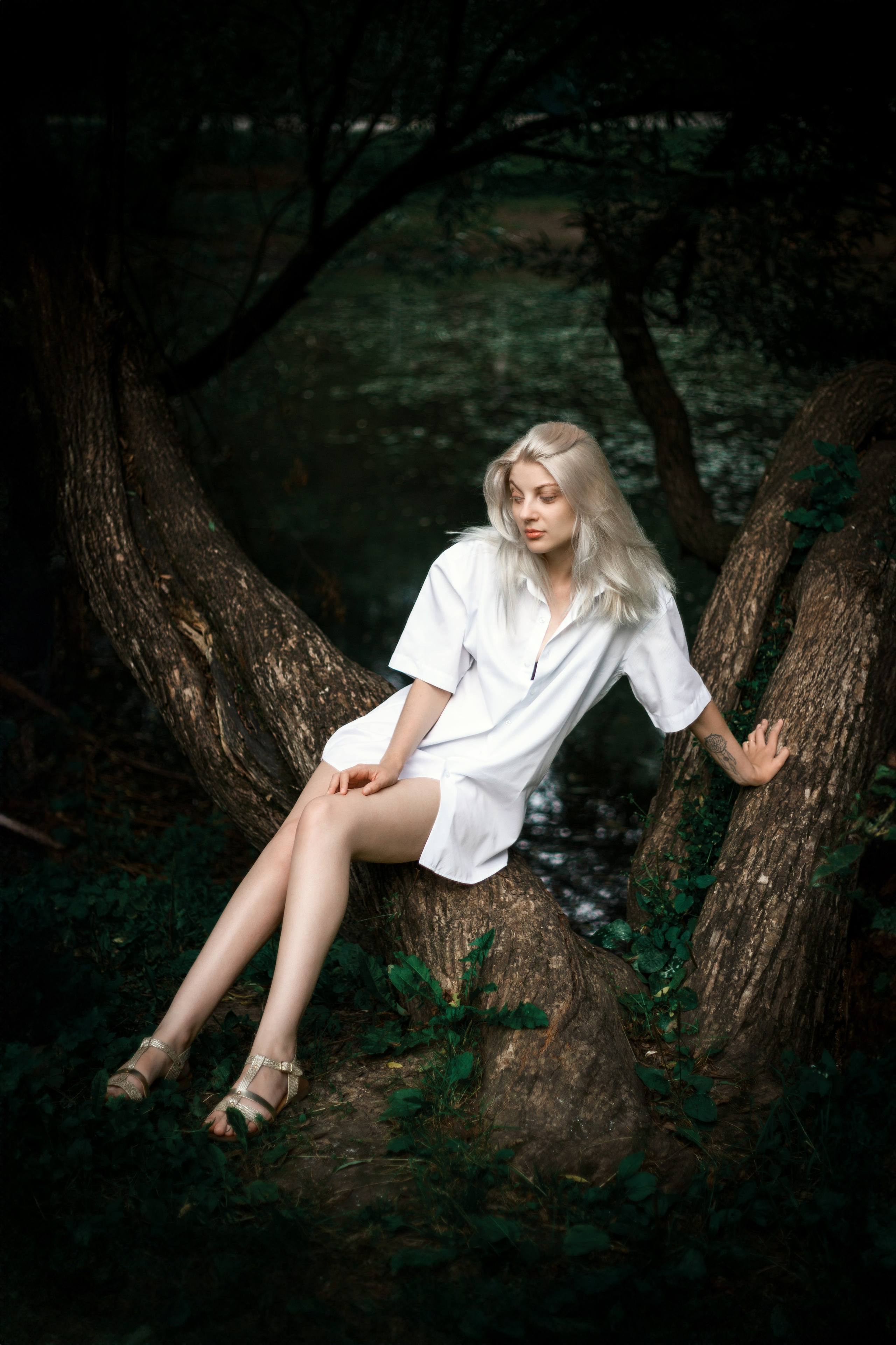 Откройте для себя магию "Белоснежной гармонии" в этом фотоальбоме, где девушка с белоснежными волосами предстаёт в утончённых образах на природе. Наслаждайтесь кадрами, где она лежит на дереве у озера и на траве, с элегантной рубашкой, добавляющей загадочности и эстетики. Девушка, молодая девушка, Блондинка, Фотосеесия, Подросток, Крашенные волосы, Озеро, Рубашка, Позировка, Потрет, Полуголая, Полуголая девушка, Девушка в белье, Дерево, Озеро, Красотка, Ноги, Трава, Ню,