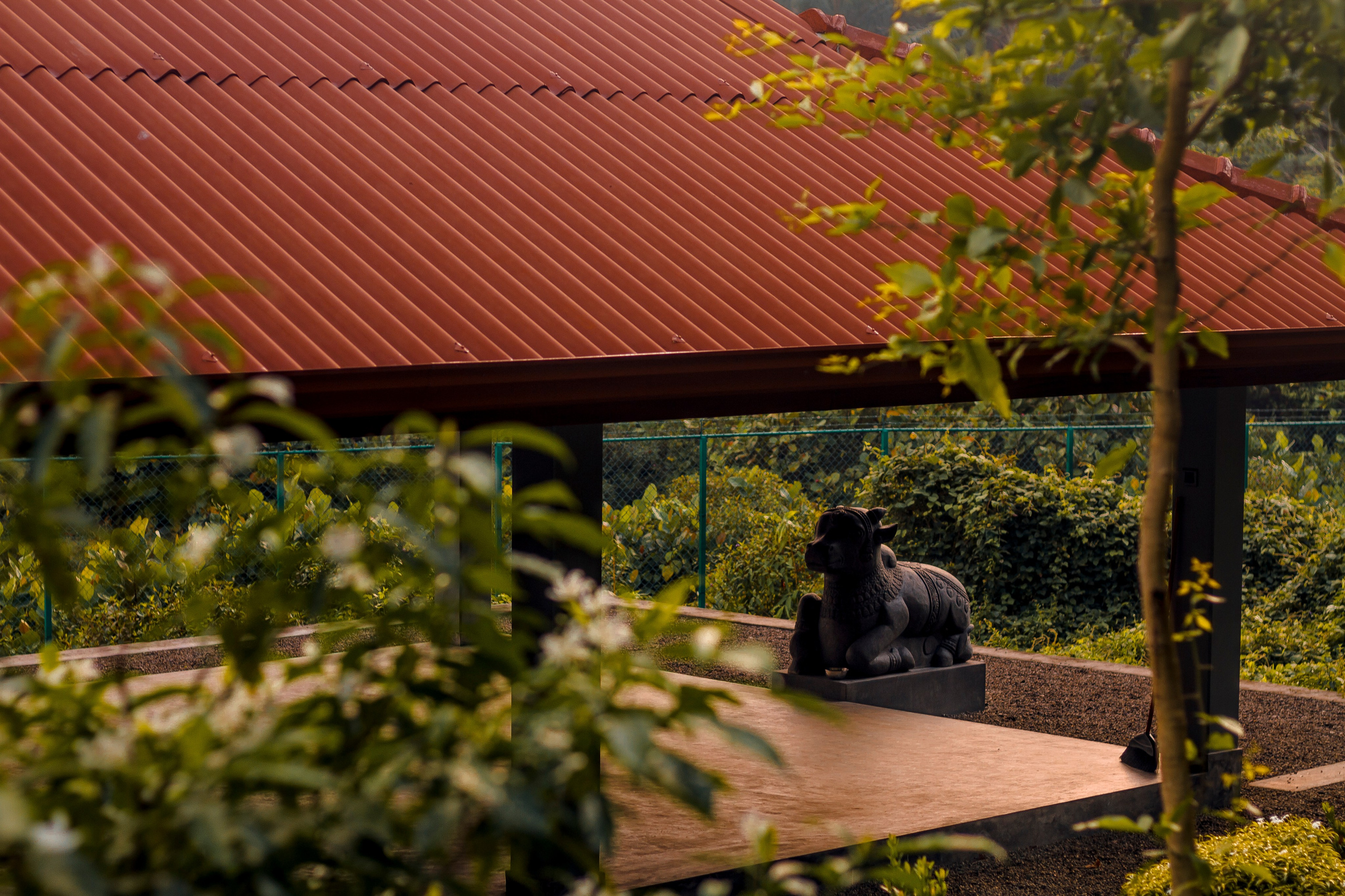 Sri Lanka. Art Photographer