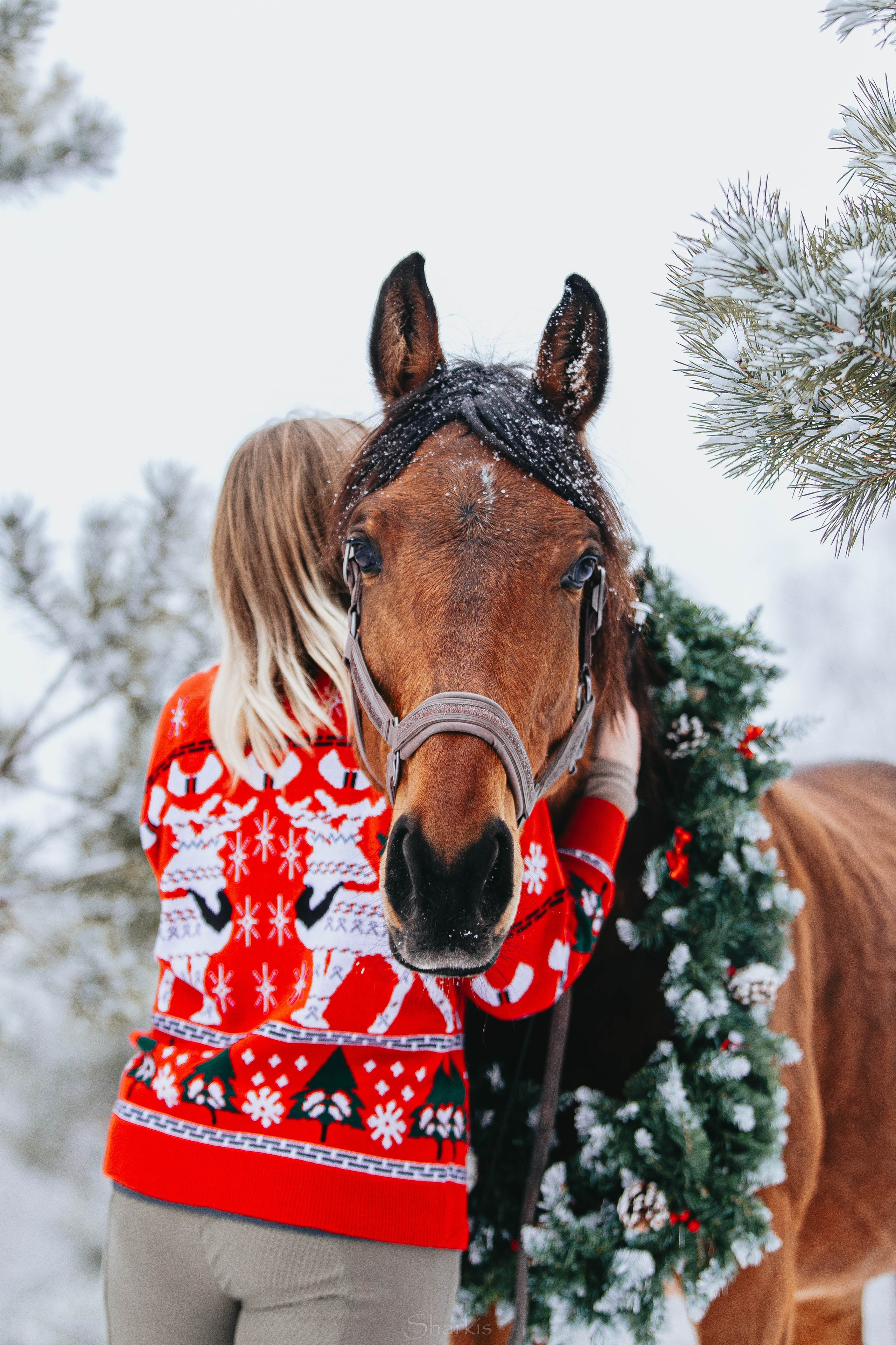 Фото день в ЧК «Орлёнок» — Новый год. Главная