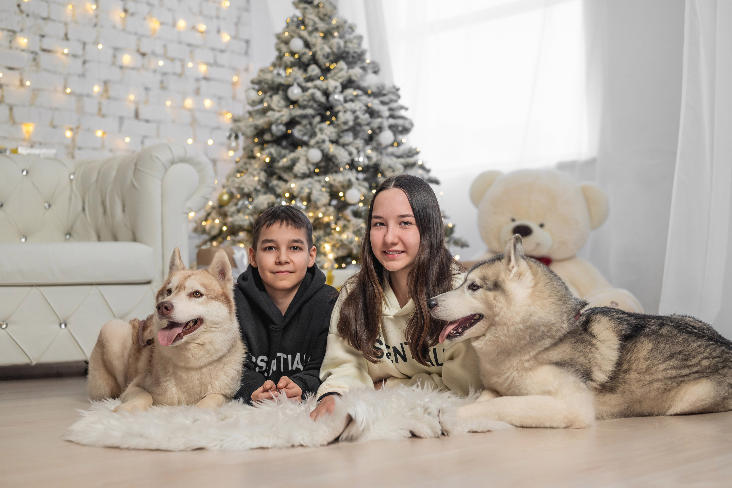 Фотопроект с хаски. Фотограф в городе Салават