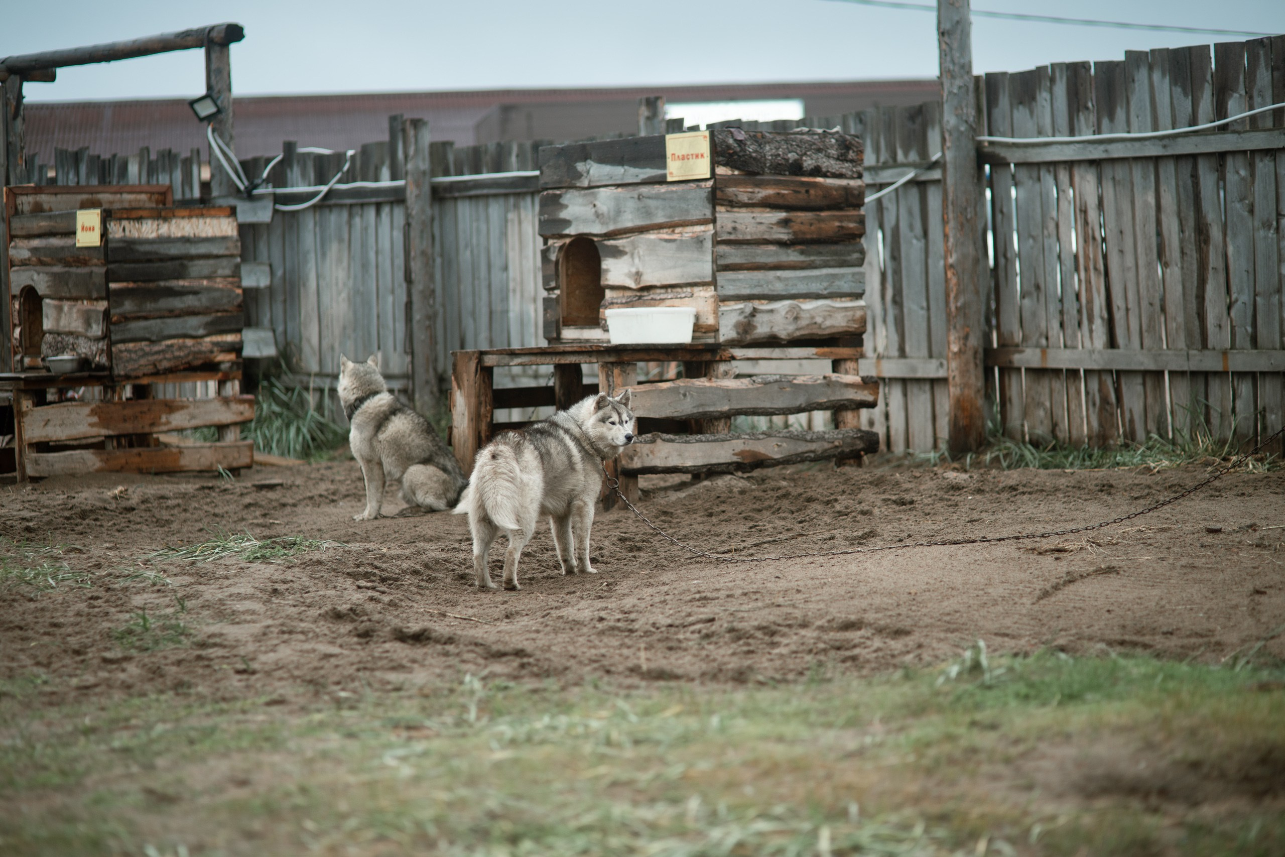 Мурманск. Фотограф Сергей Красильников
