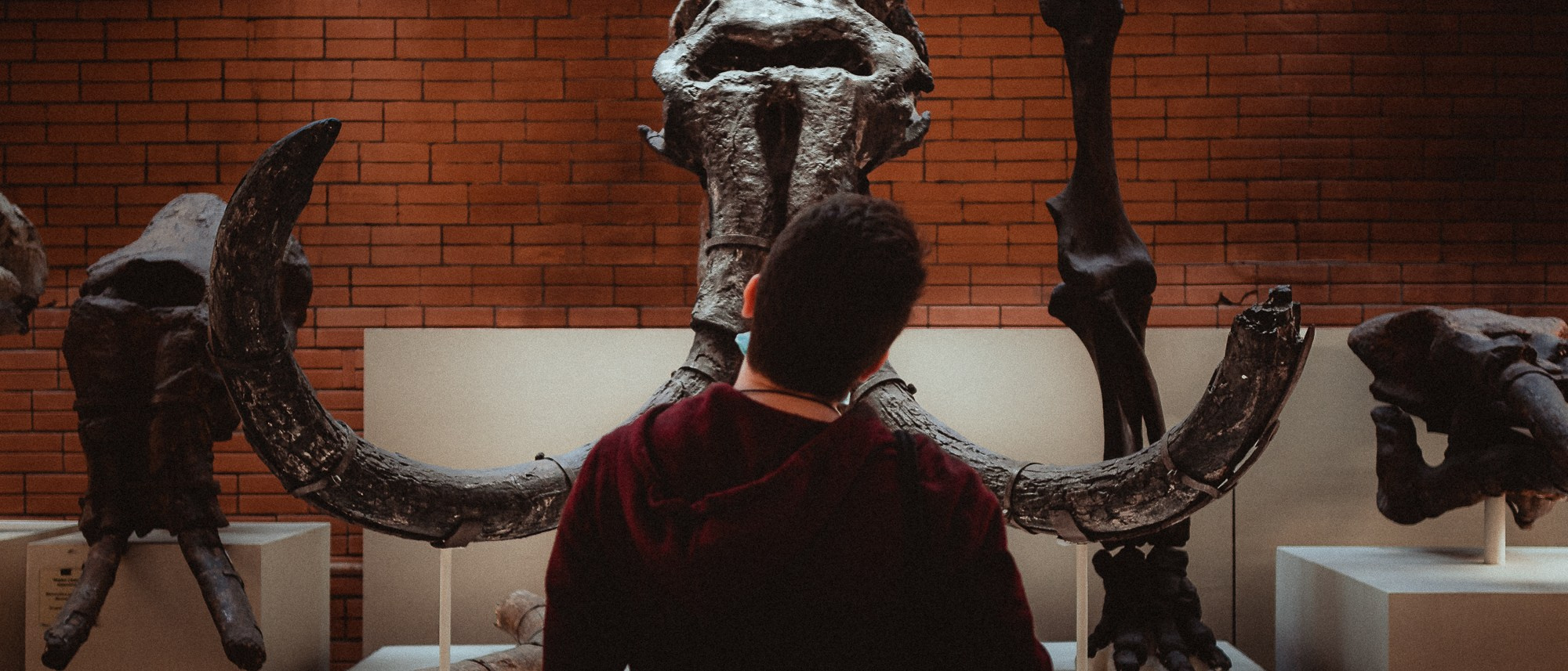 Палео. Фёдор Малюгин. Ваш бади в визуале