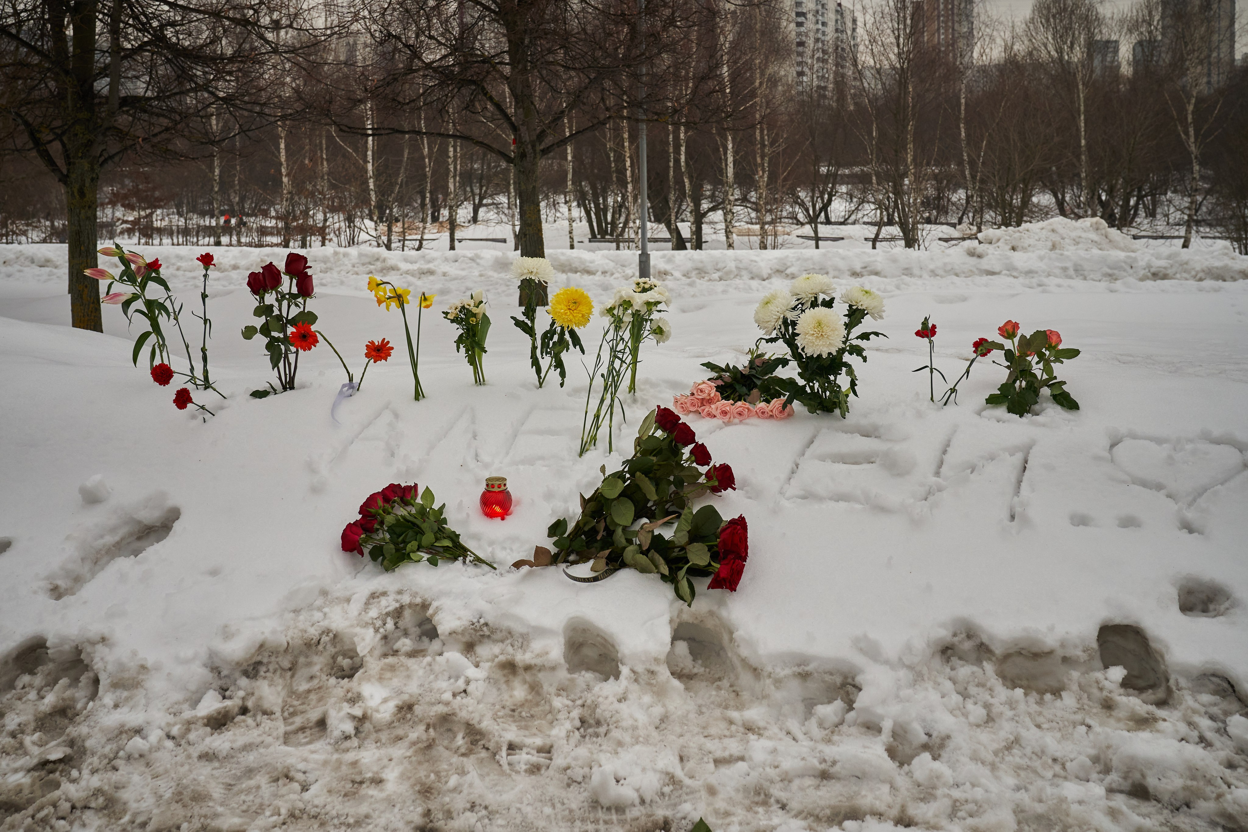 Похороны Алексея Навального. Дзешульская, фотограф