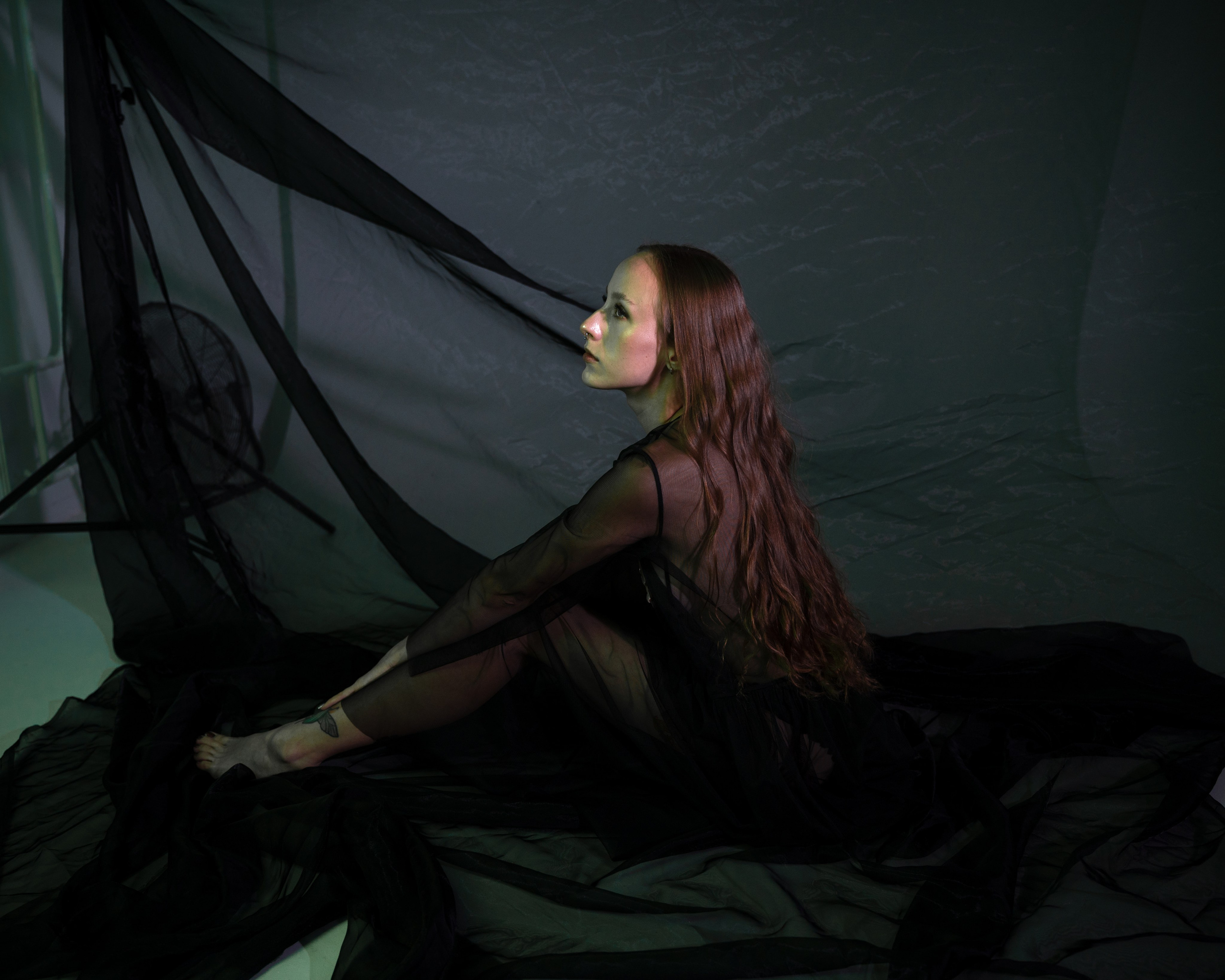 Лиза в Bokeh. Главная