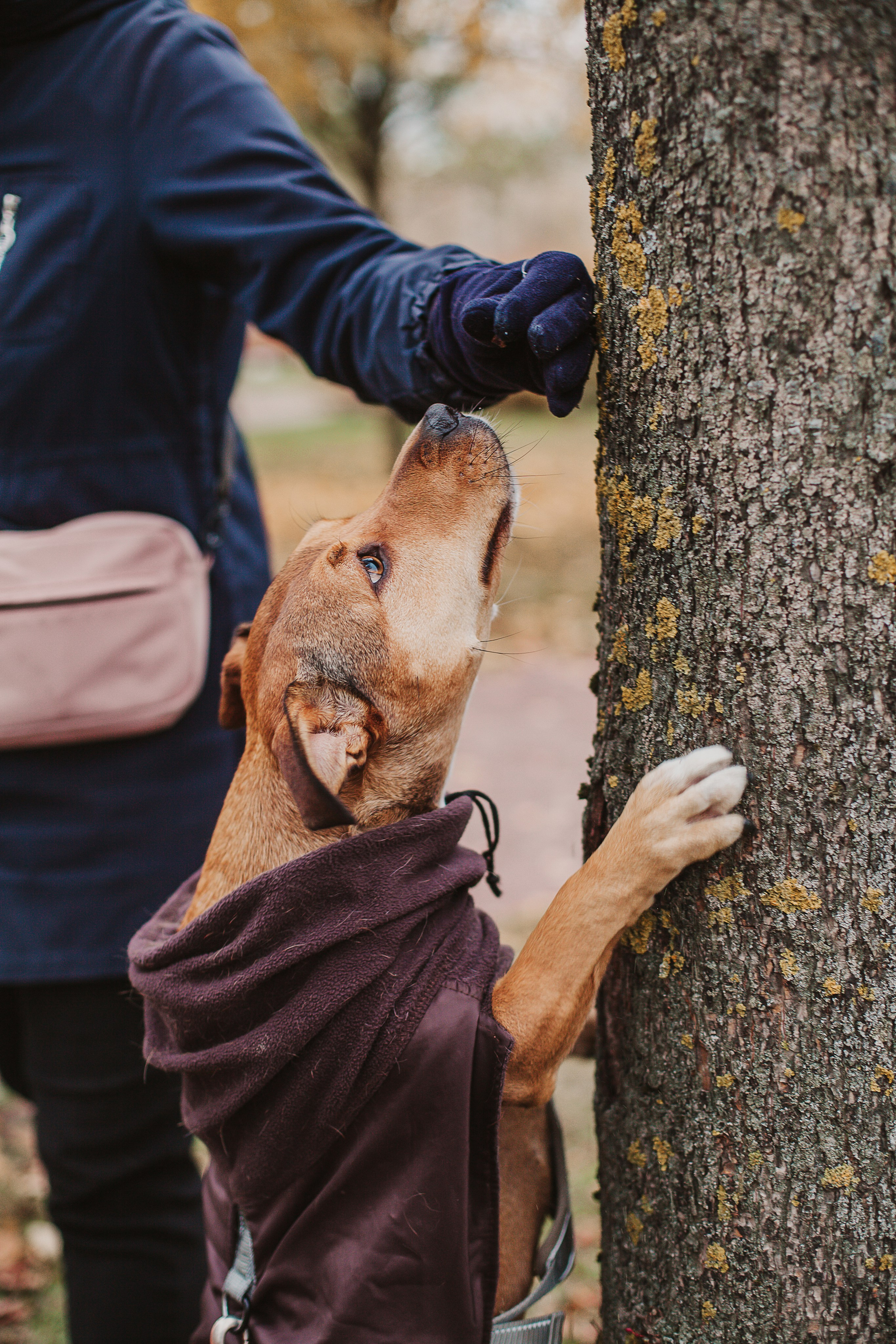 Тёма и Таня. Aourica — Фотограф Ольга, Санкт-Петербург, Москва, Гагарин