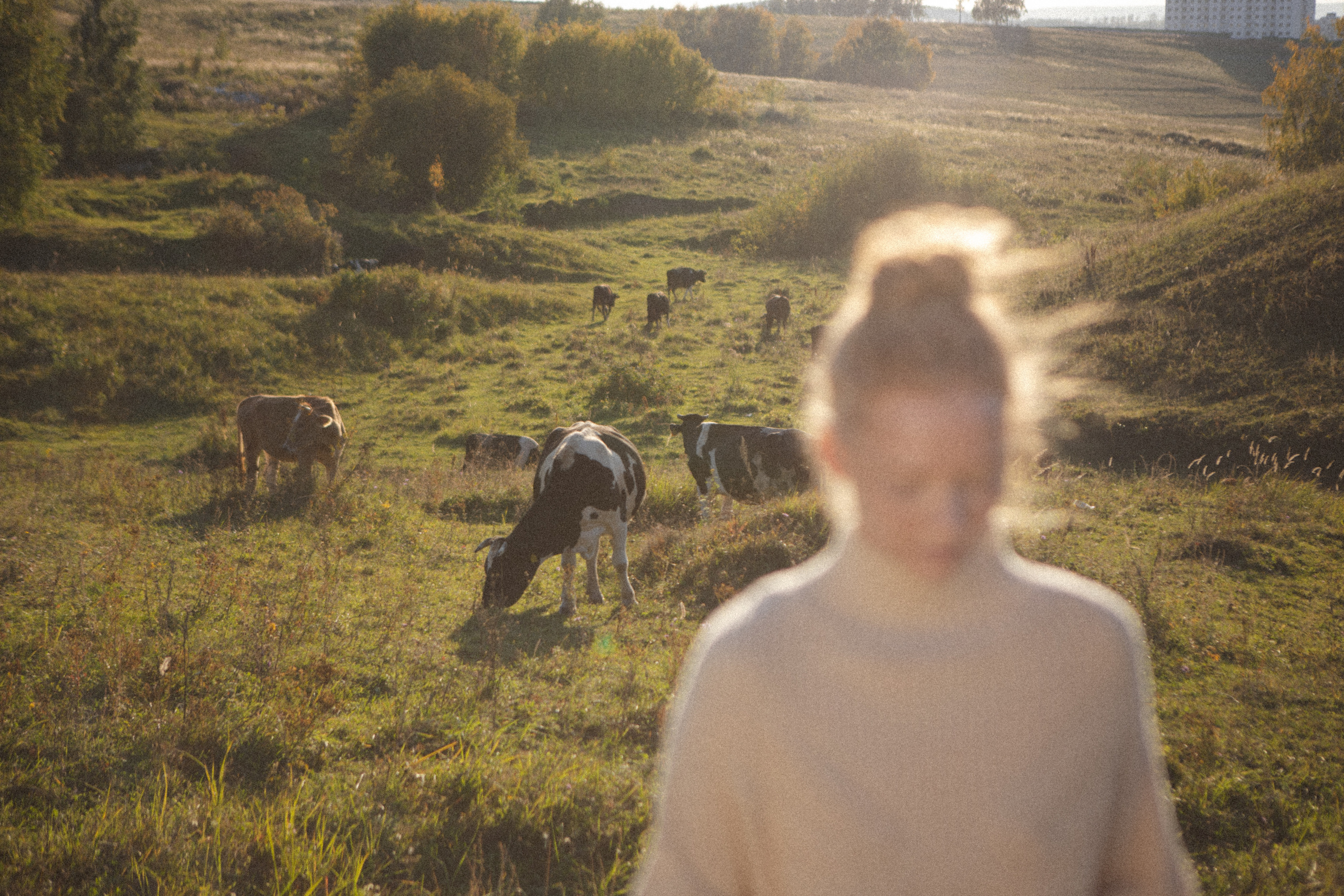 Анна. Главная