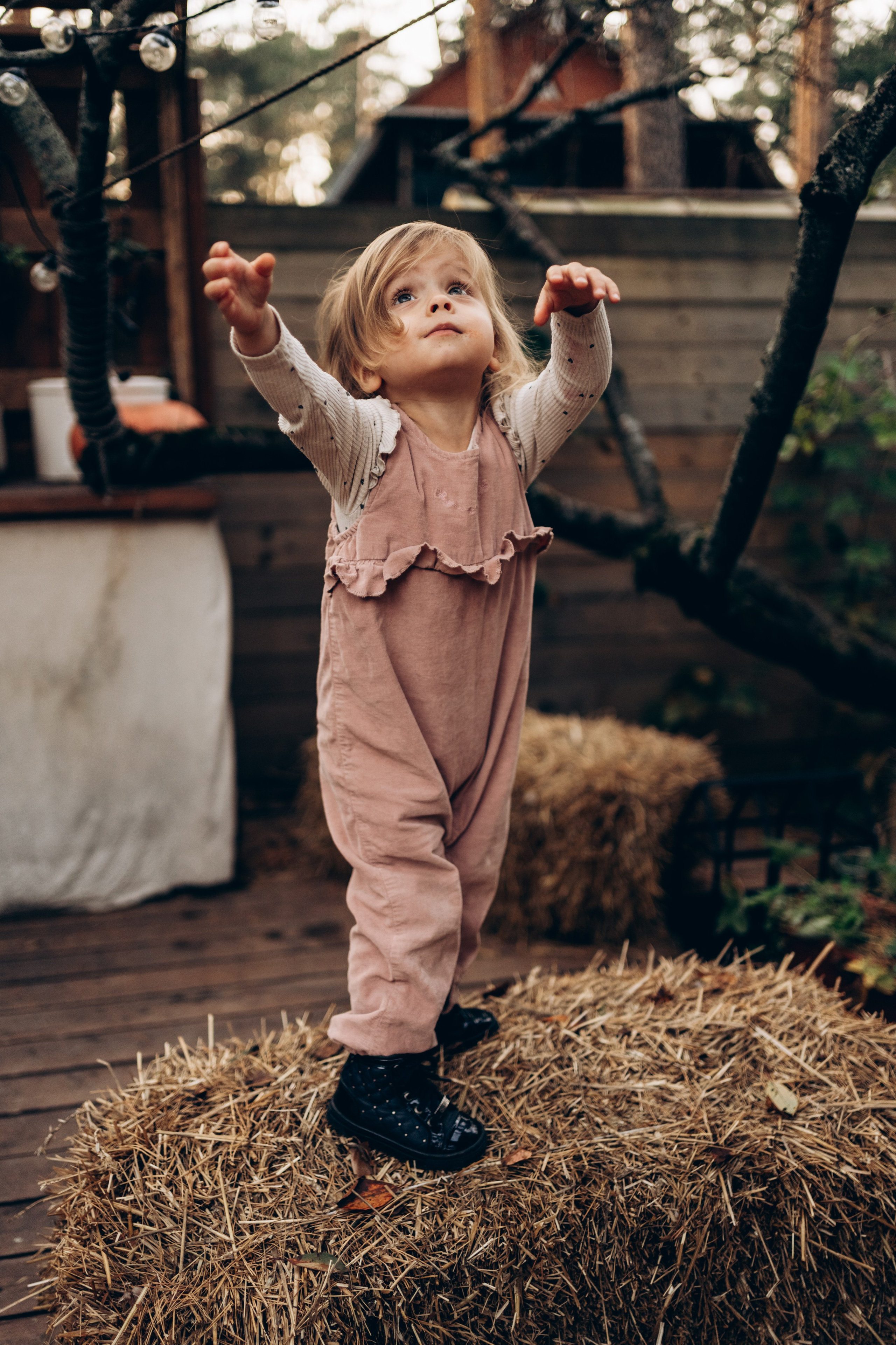 Маскарад на Зеленой даче. Семейный и детский фотограф и видеограф в Москве, Серпухове и Тарусе Валерия Сорокина
