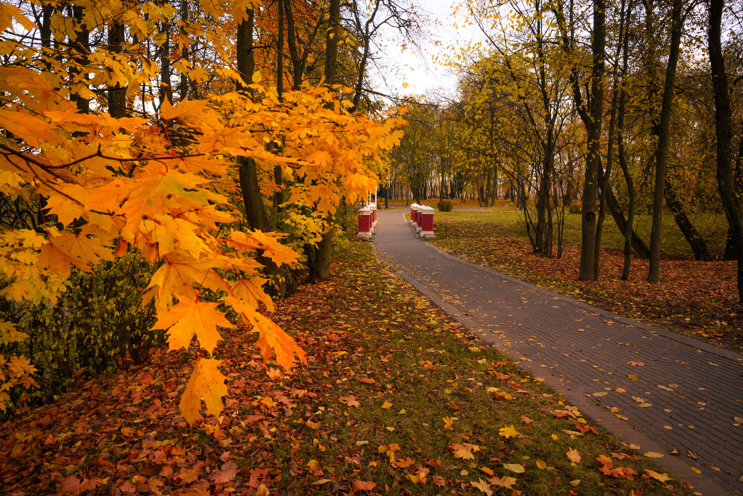 Места. Фотограф в Минске Дарья Кончакова