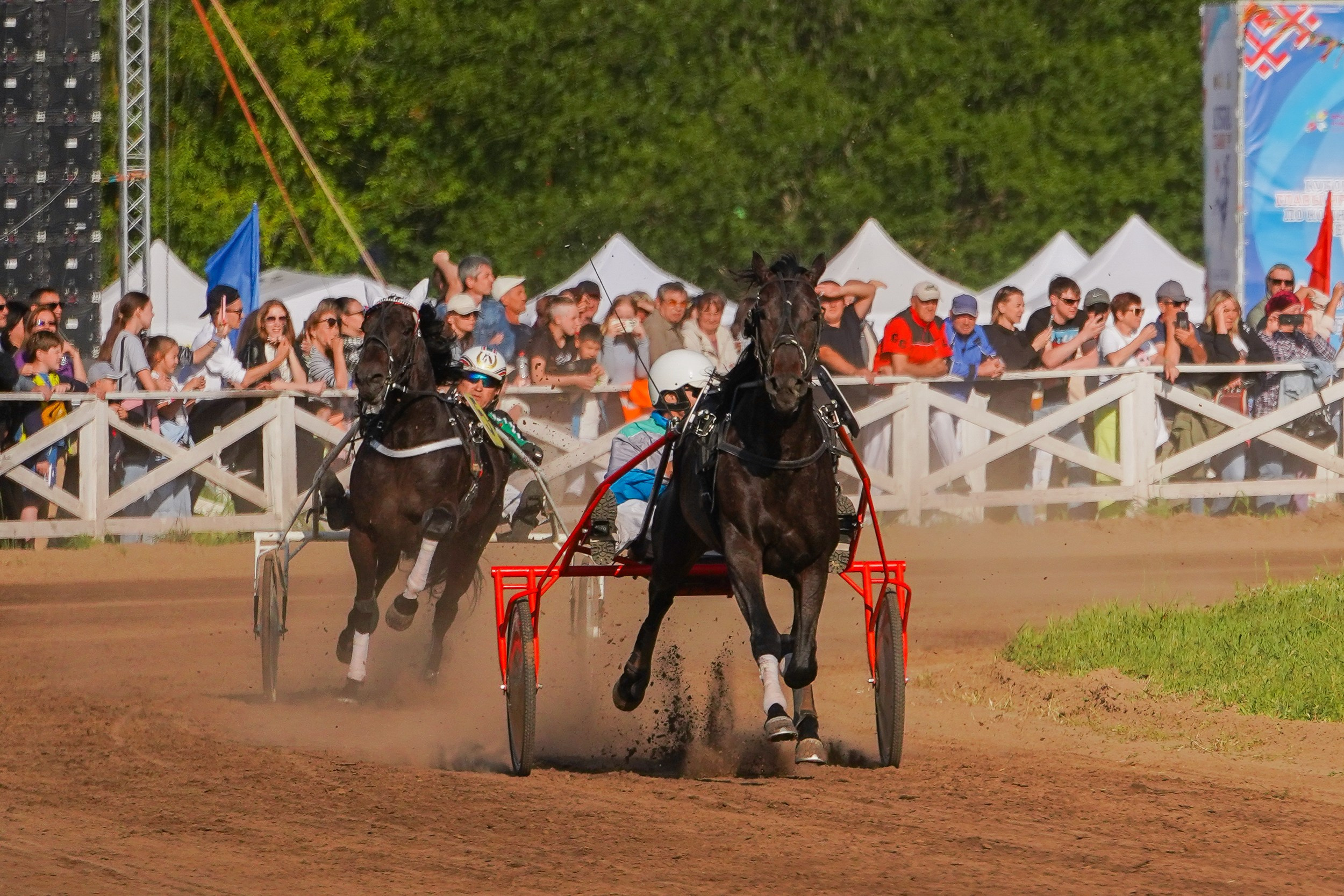 III конные бега на Кубок Главы Чувашии. Фотограф-анималист, портретный фотограф в Чебоксарах Мария Садыкова