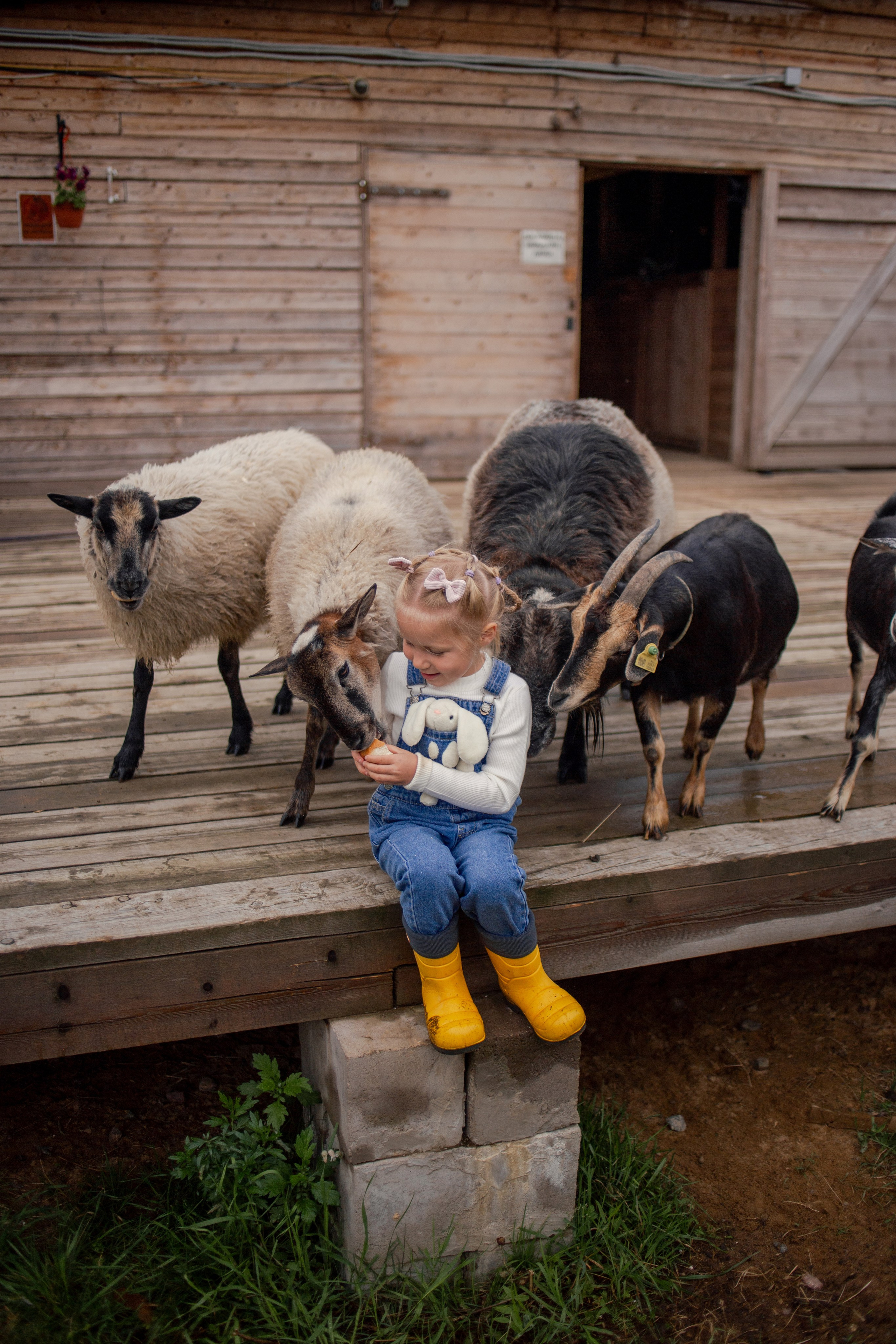 Детская фотосессия на ферме в СПб