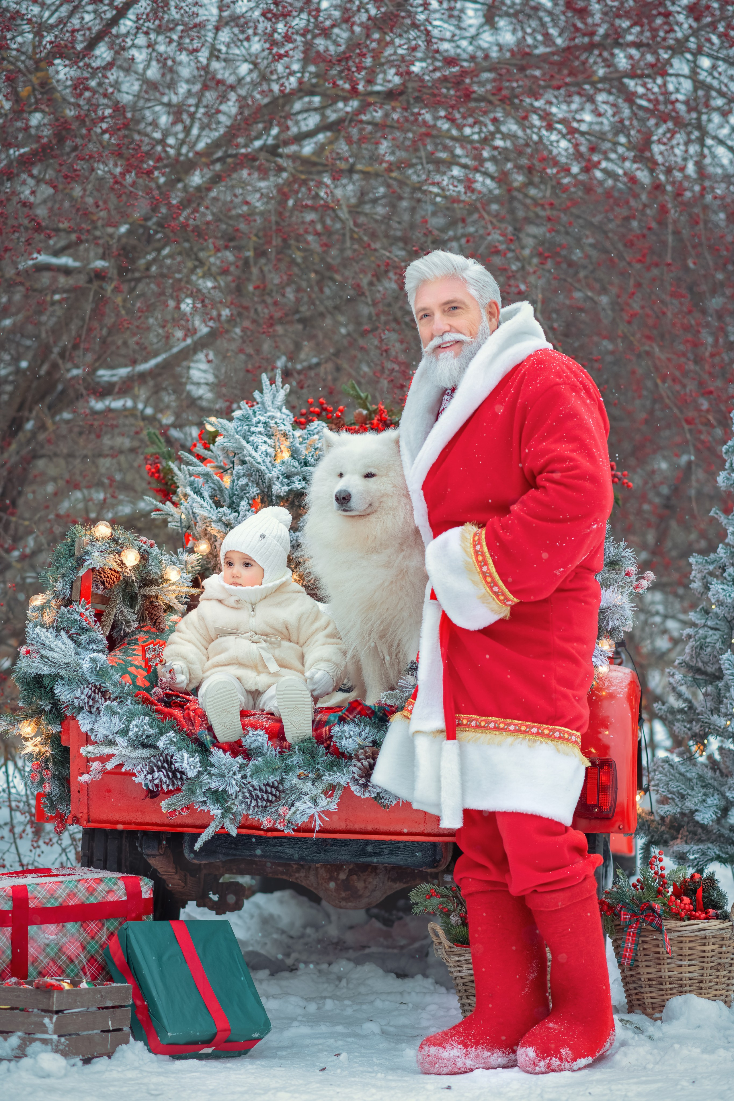 Фотосессия с собаками