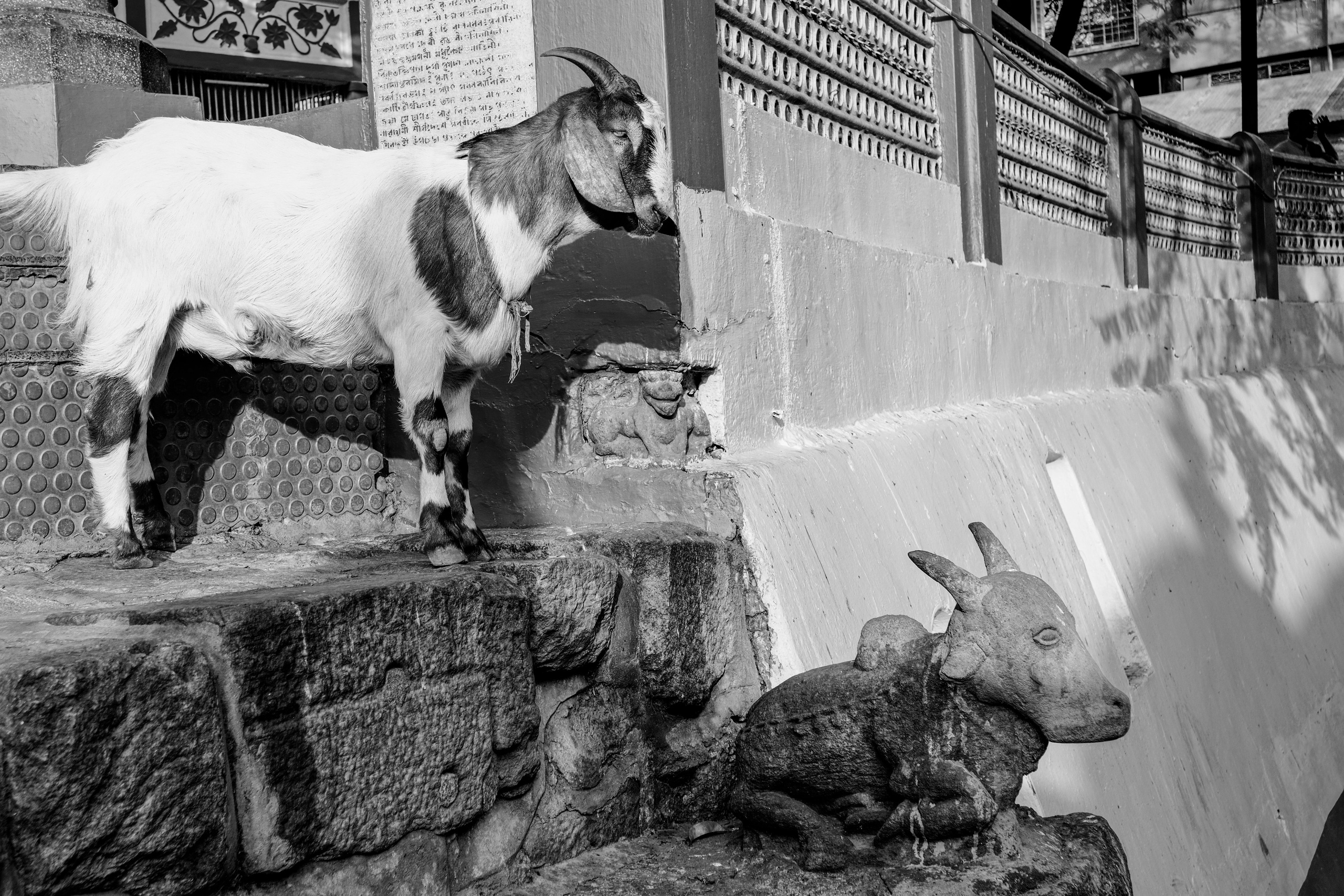 Индия Штат Ассам день 1. Фотографии из путешествий