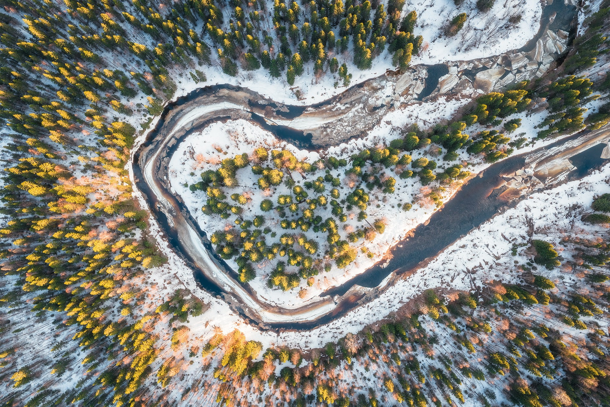 Весна в лесу. Фотосъемка в Архангельске, фотограф Александр Ермолин
