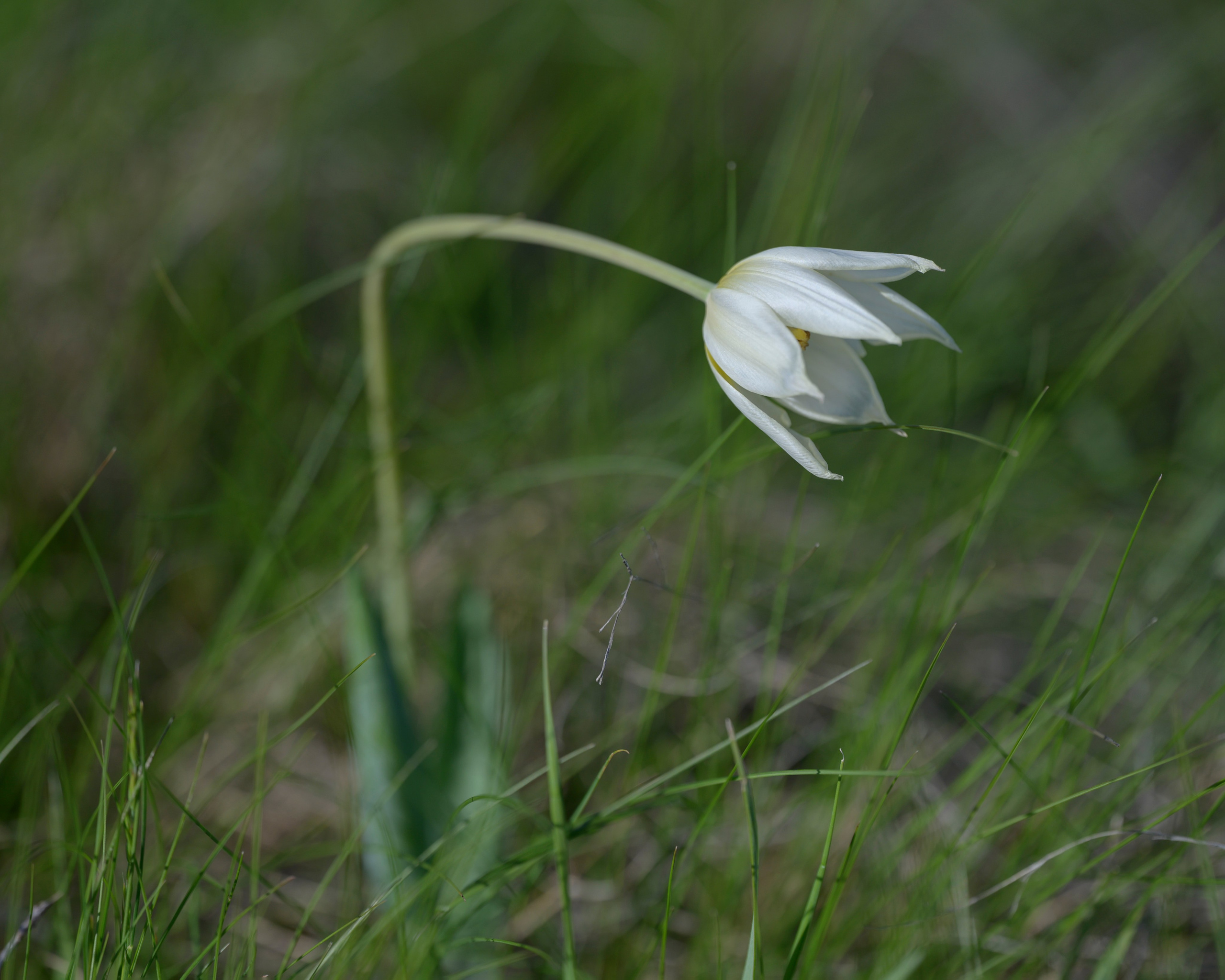 Оренбуржье. Портретный фотограф в Челябинске Катерина Руди
