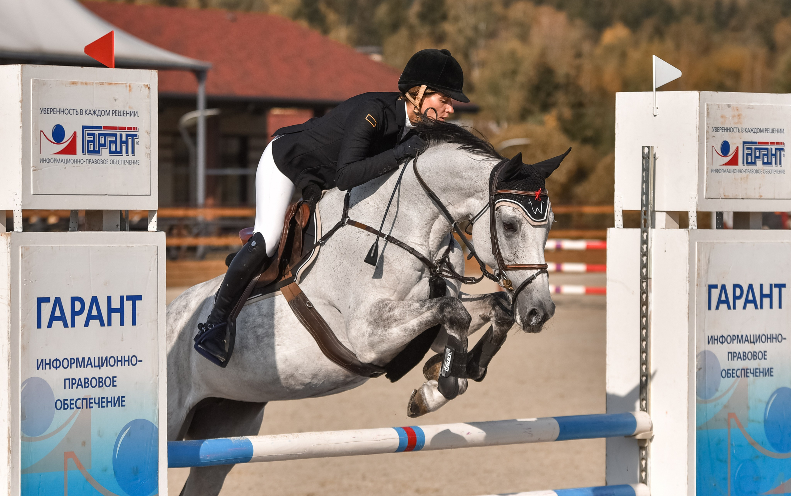 Репортажная съемка конных мероприятий. Конный фотограф из Москвы Ирина Бондаркова