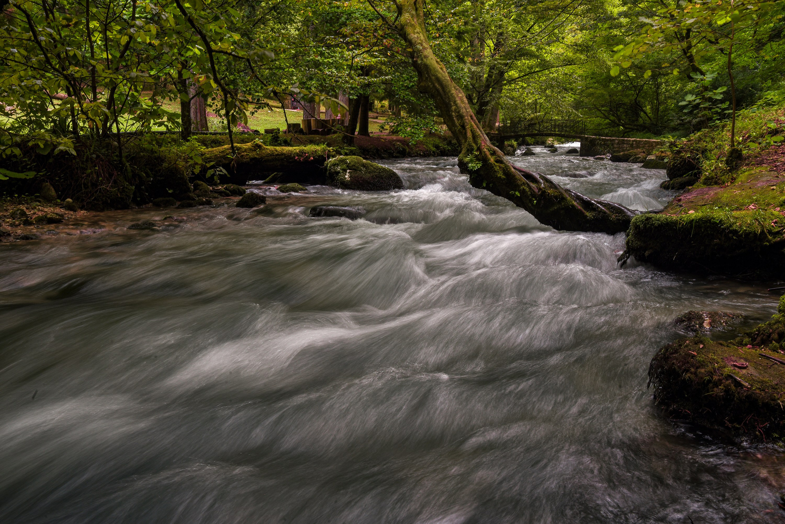 Goblincore, природа, фэнтези, нечисть, лес, гоблинкор, эльфы, фотосессии, костюмированные