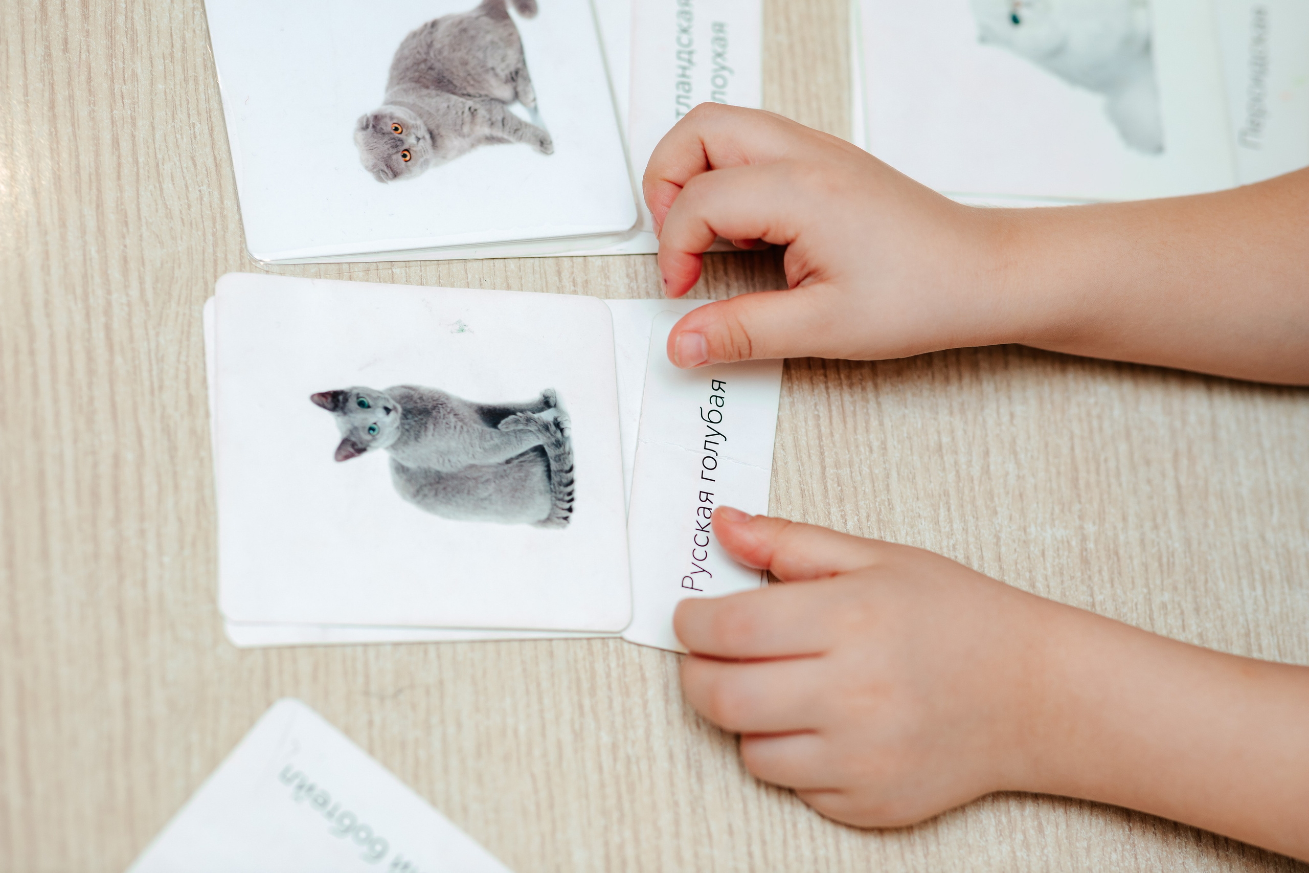 8 марта в Монтессори-саду. Семейный lifestyle фотограф в Санкт-Петербурге Людмила Пахомова