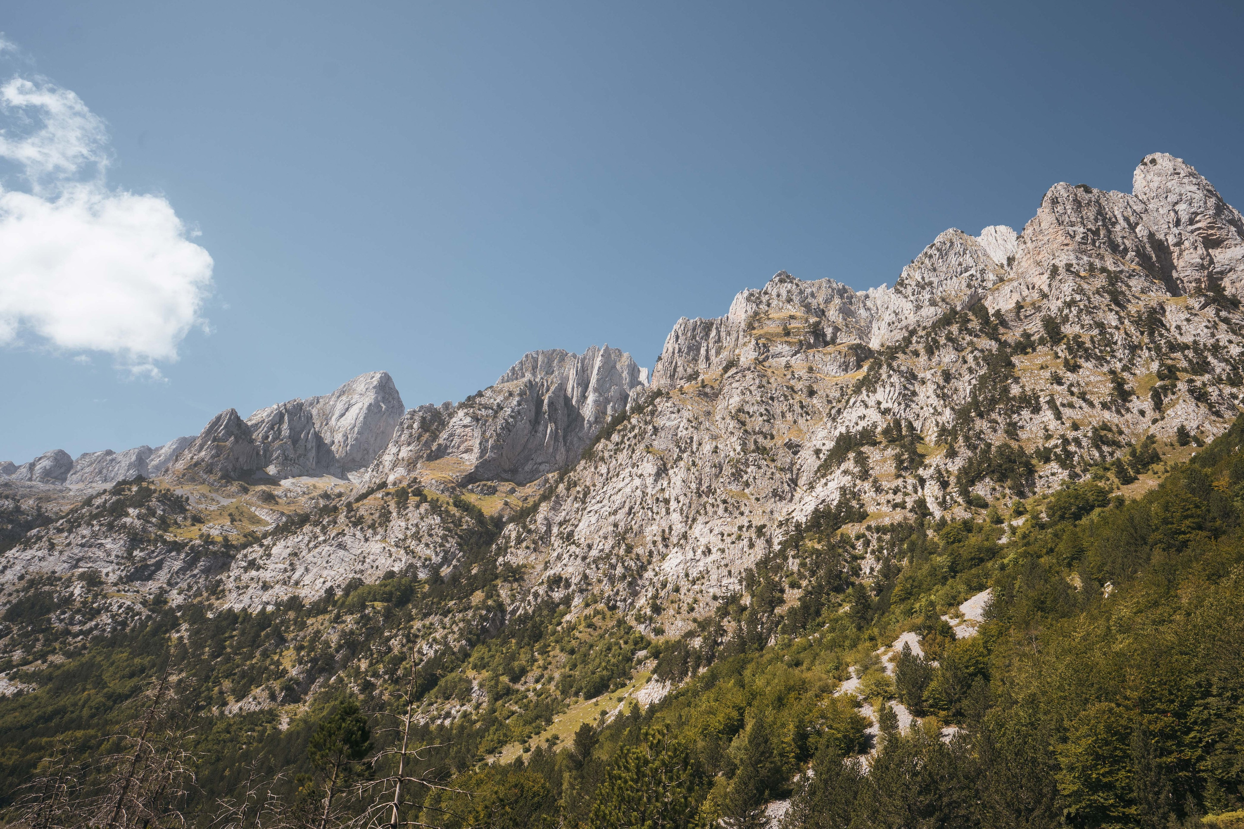 ДОЛИНА РАПОЯНА. ЧЕРНОГОРИЯ. Фотограф в Белграде Чугреева Елена