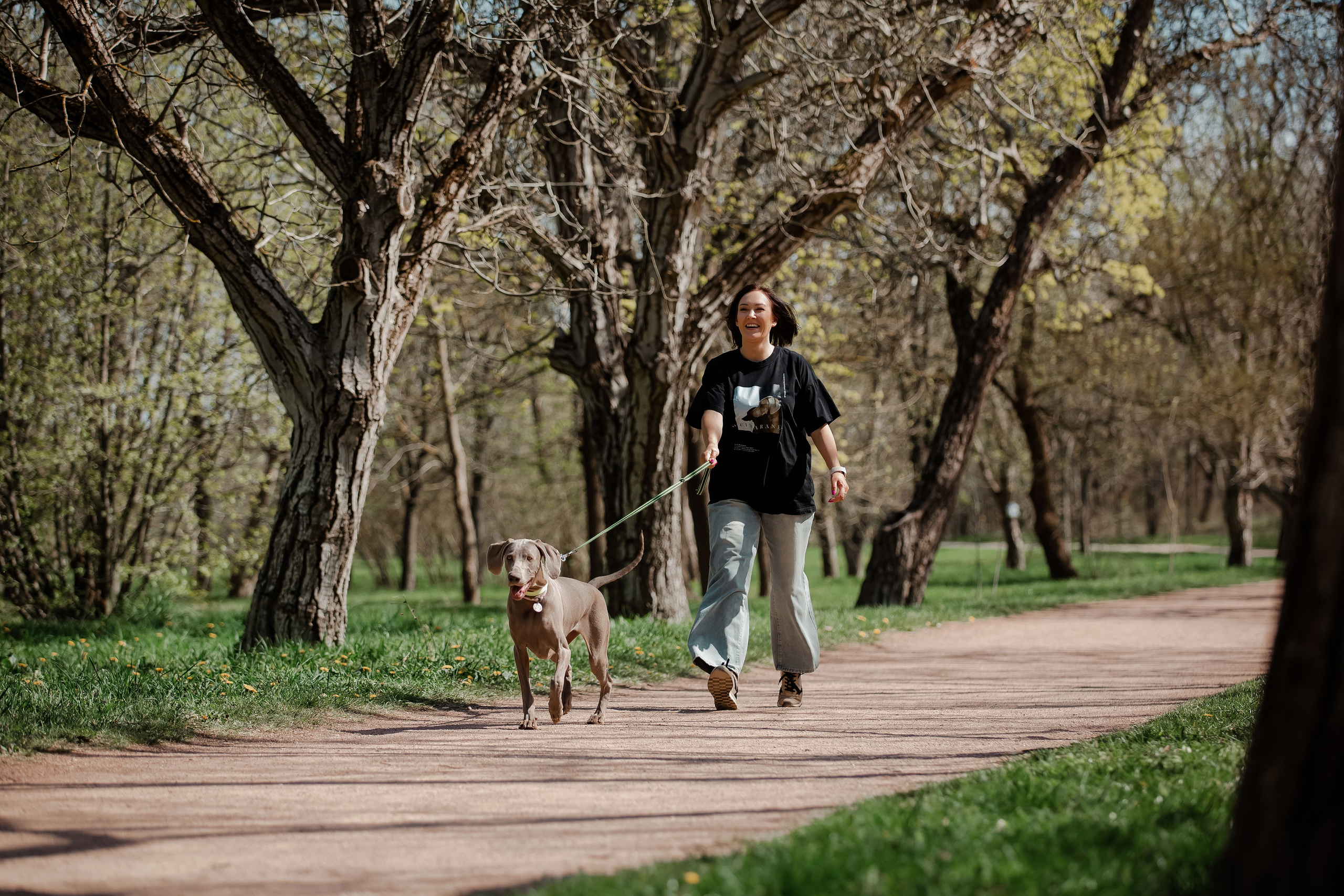 Веймаранер в парке Симферополя. Фотограф-анималист в Краснодаре Маша Мельникова