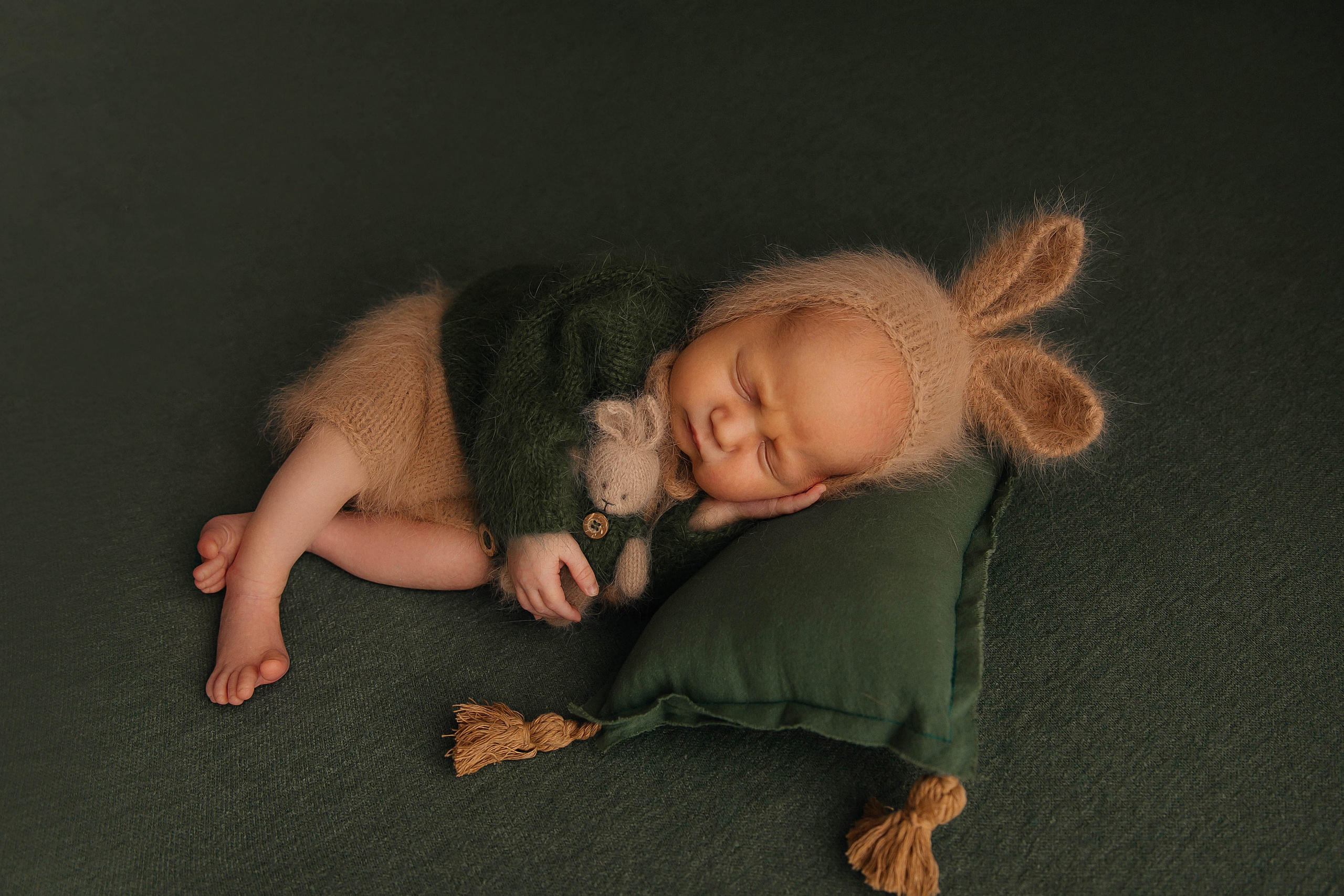 Лев. Фотограф новорожденных Тверь Диана Муляева