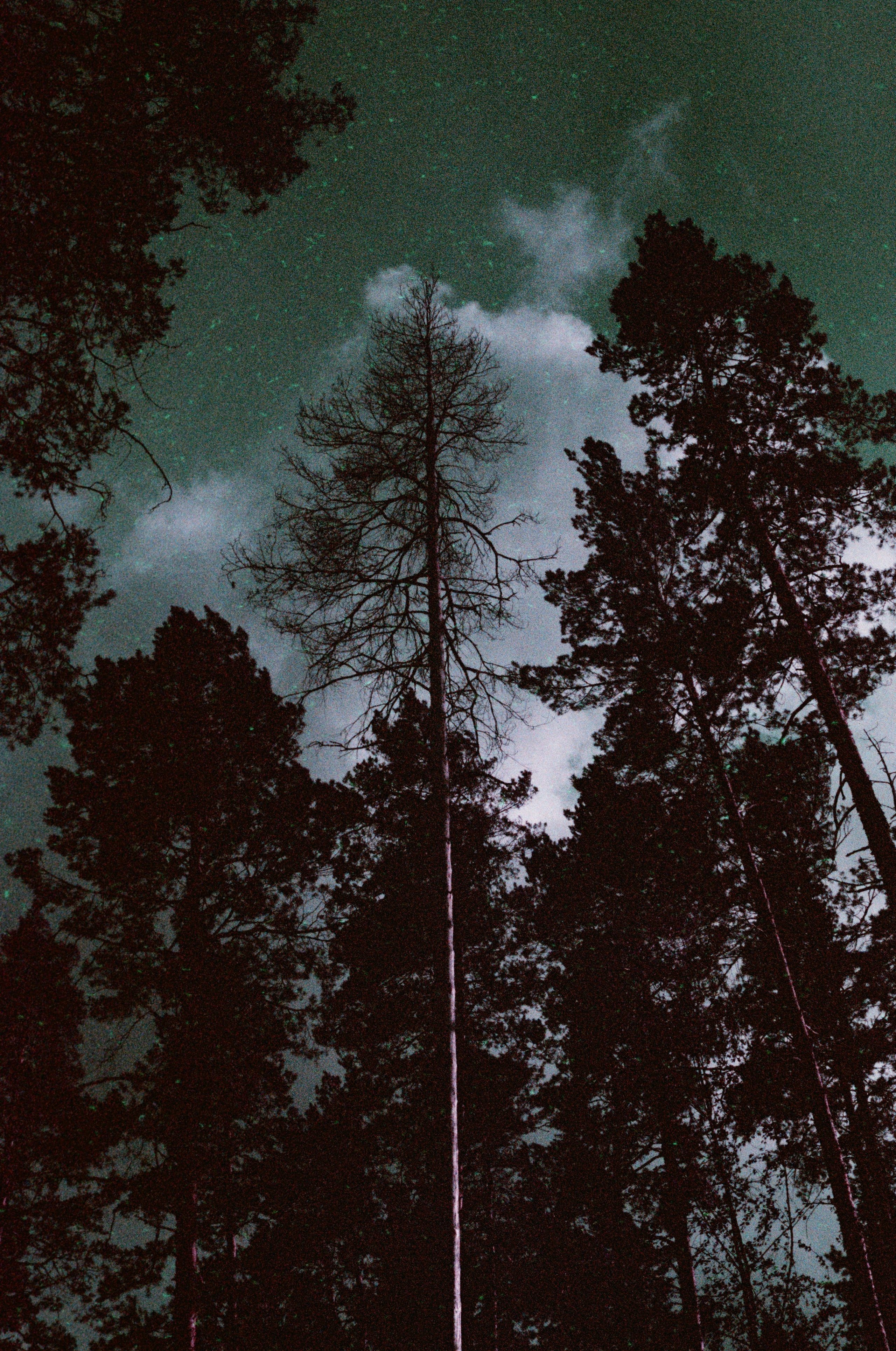 Grain. Artem Khusainov