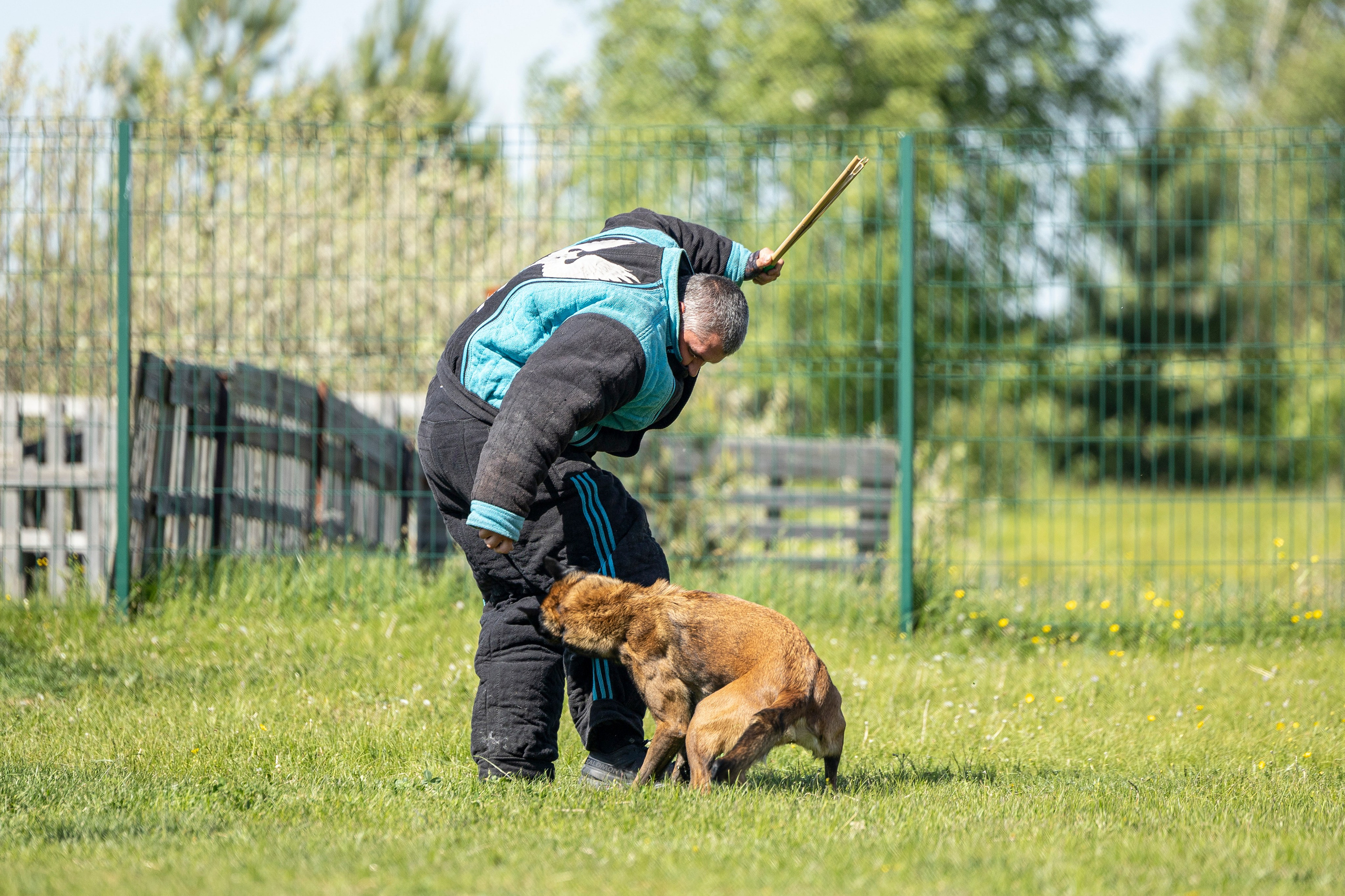 Испытания по мондьорингу в Нижнем Новгороде. Фотограф-анималист Анна Маринич