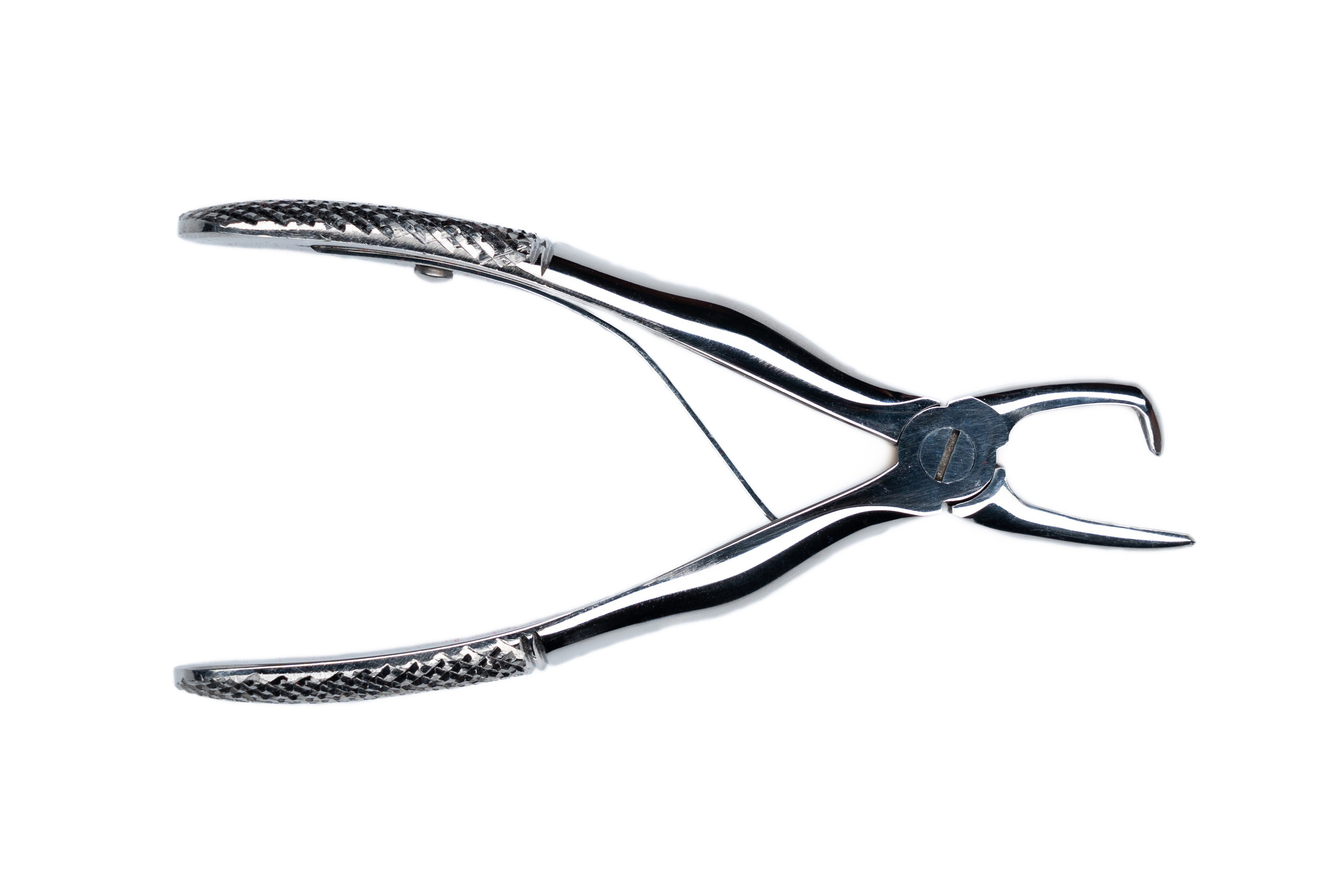 GLOBAL.VET. Репортажный фотограф в Москве Илья Закурин