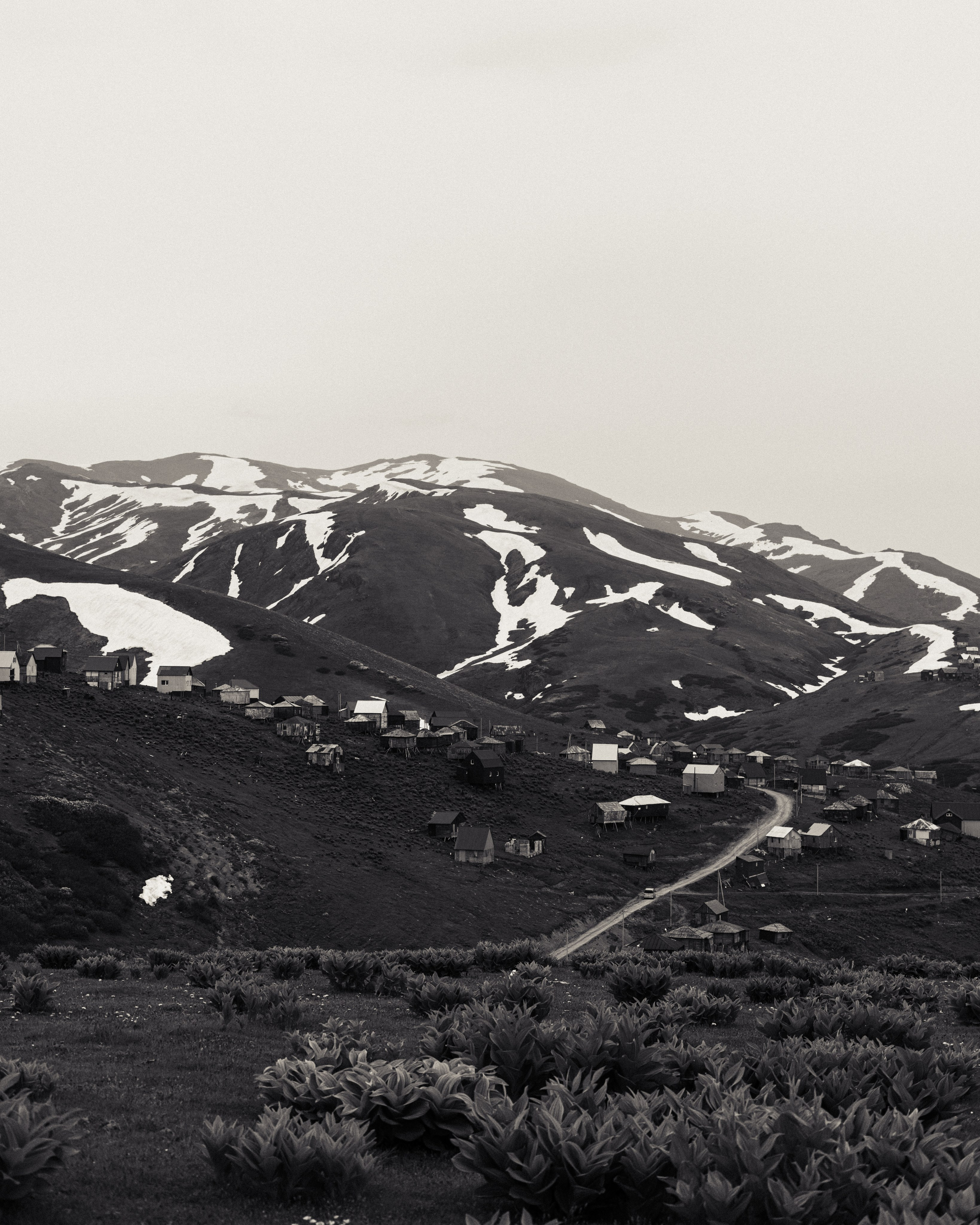 ГОМИС МТА. Photographer Barcelona